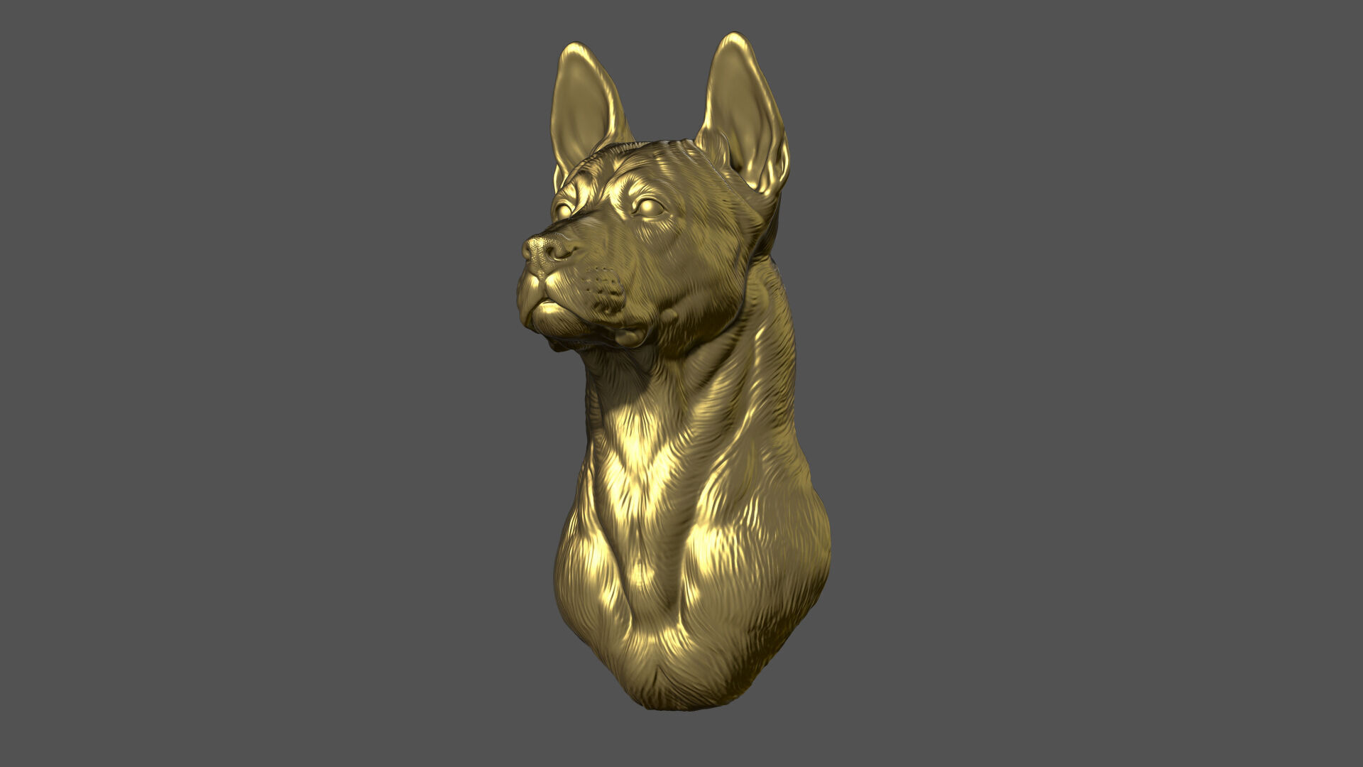Thai Ridgeback dog head 3D print model_4