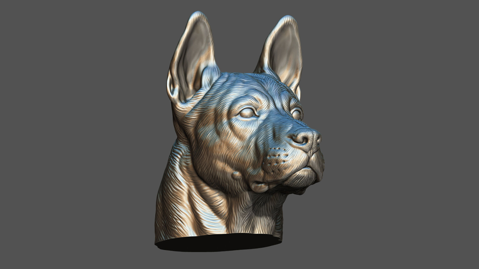 Thai Ridgeback dog head 3D print model_14
