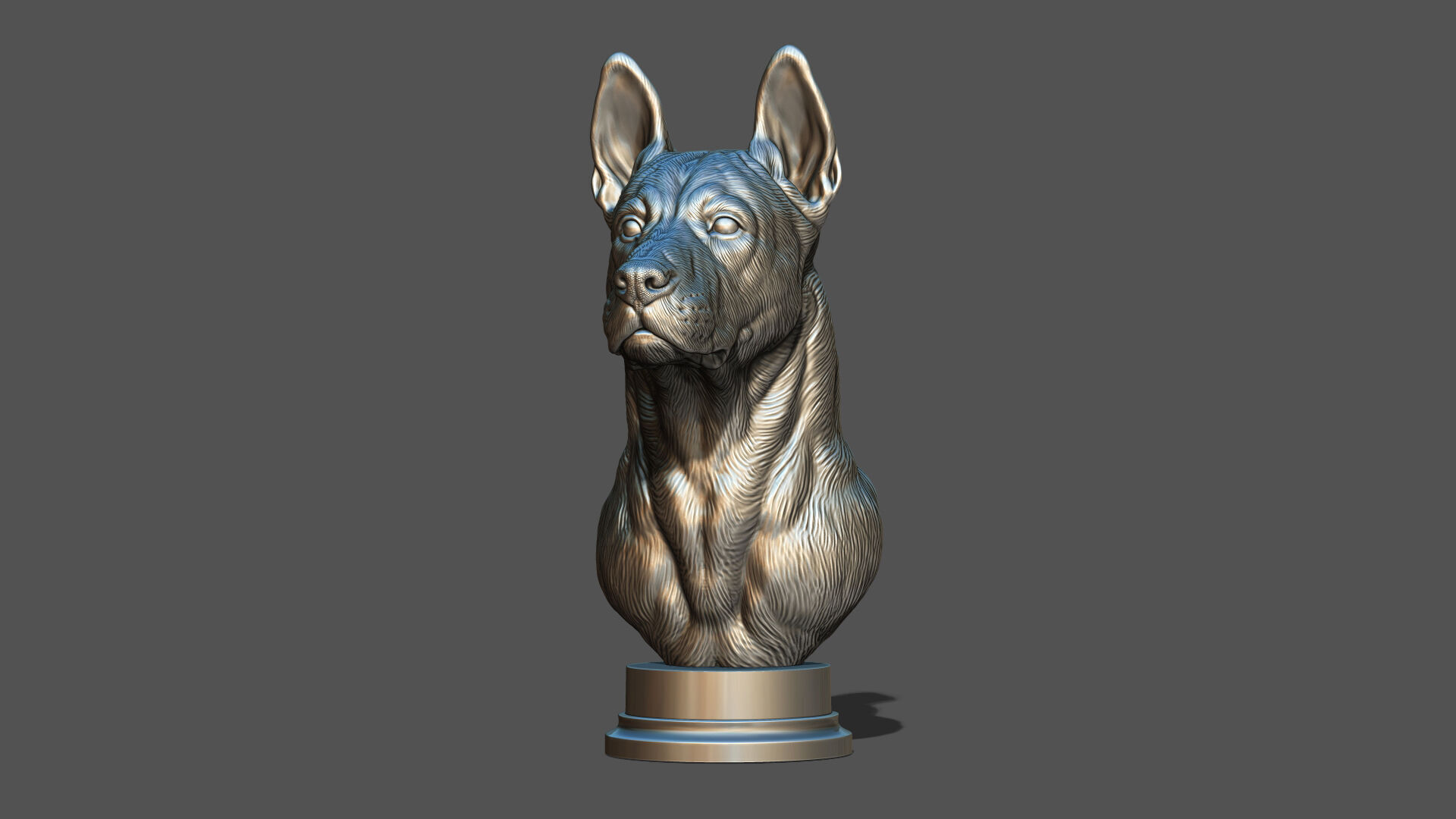 Thai Ridgeback dog head 3D print model_22