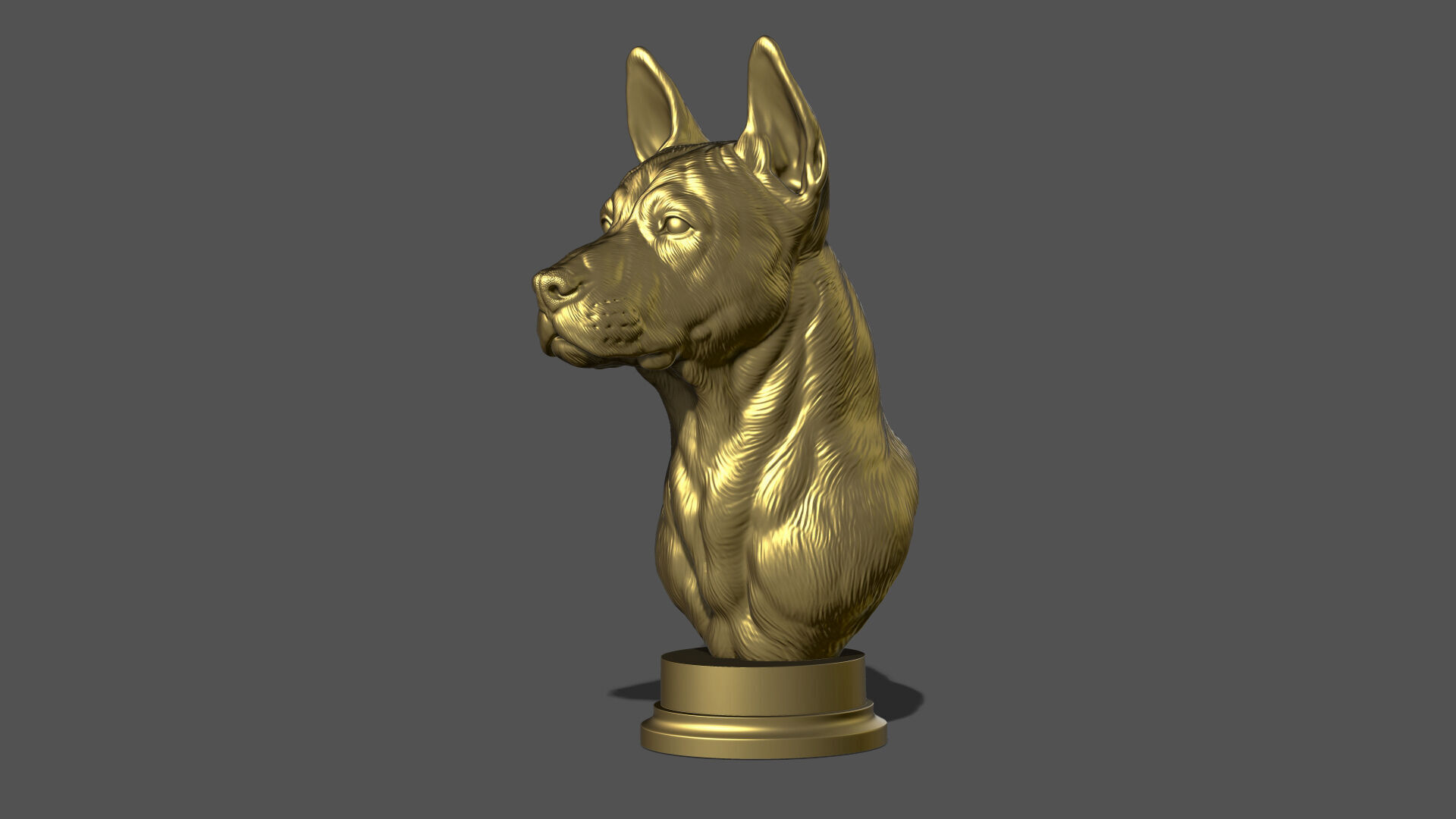 Thai Ridgeback dog head 3D print model_23