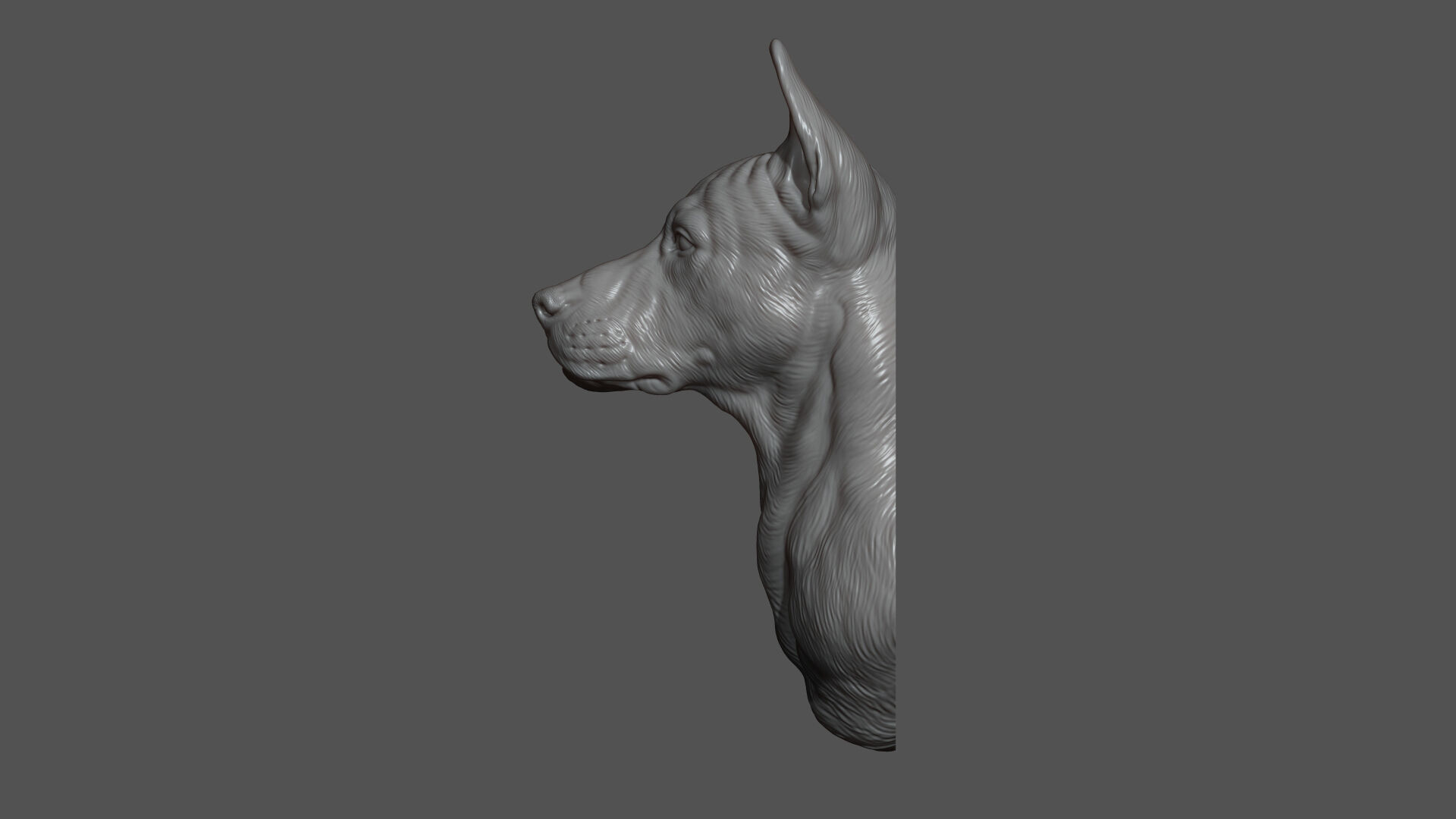 Thai Ridgeback dog head 3D print model_7