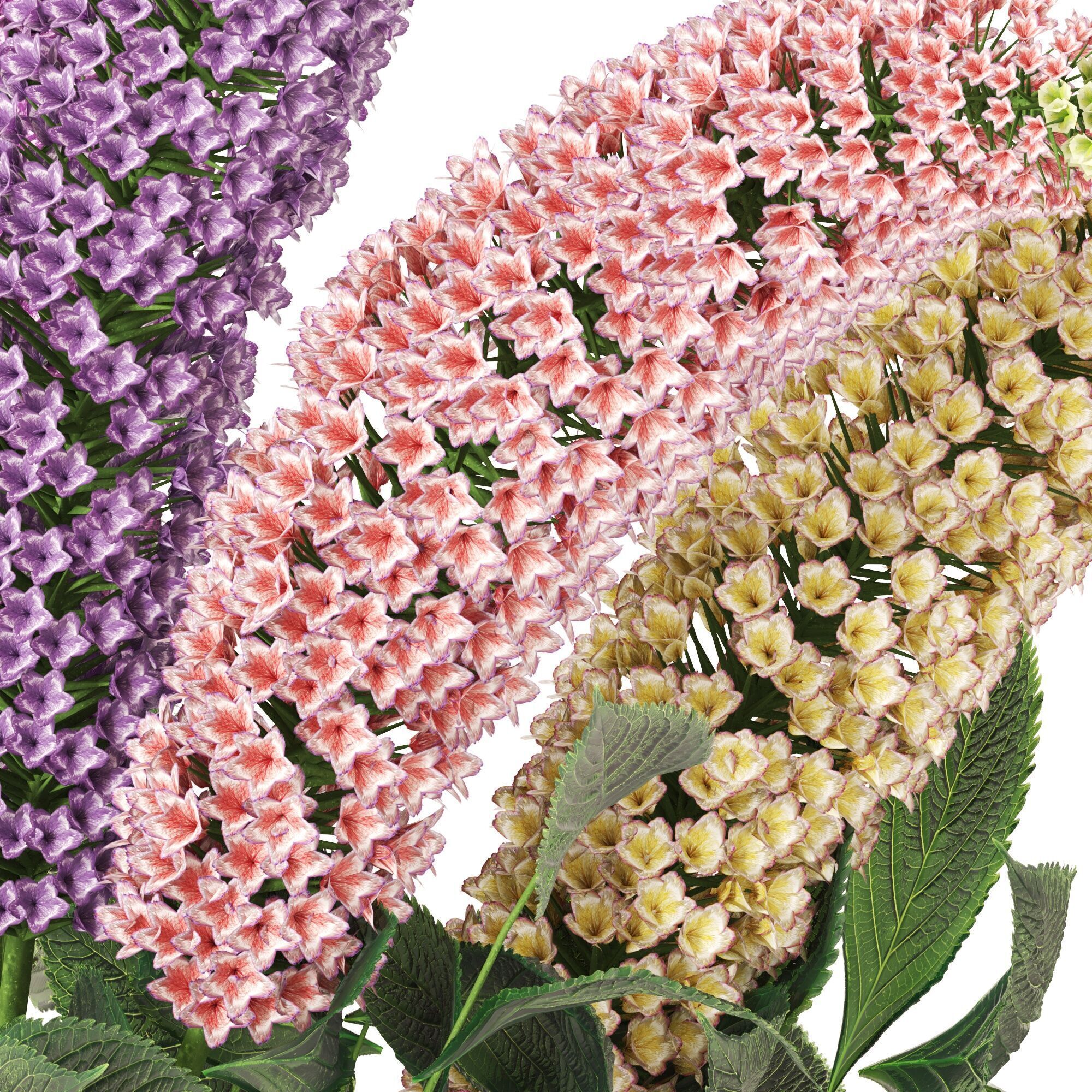 Stylish flowers in a vase 3D model_7