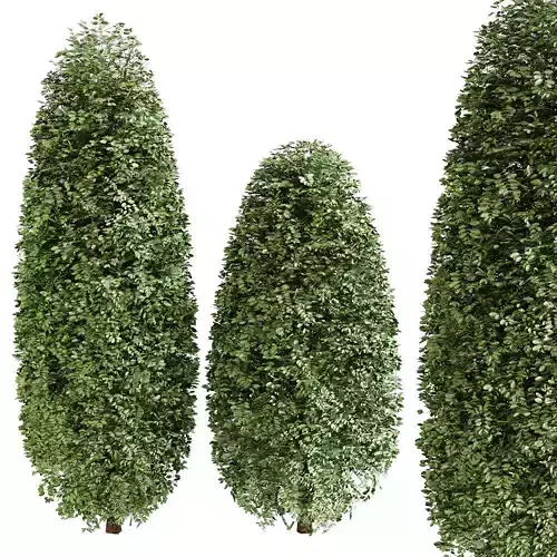 Box wood vol 2 - 2 different objects