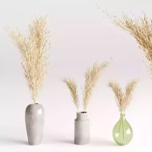 Pampas Grass 3D Model Set Vol 1 - Premium  - Decorative Vases
