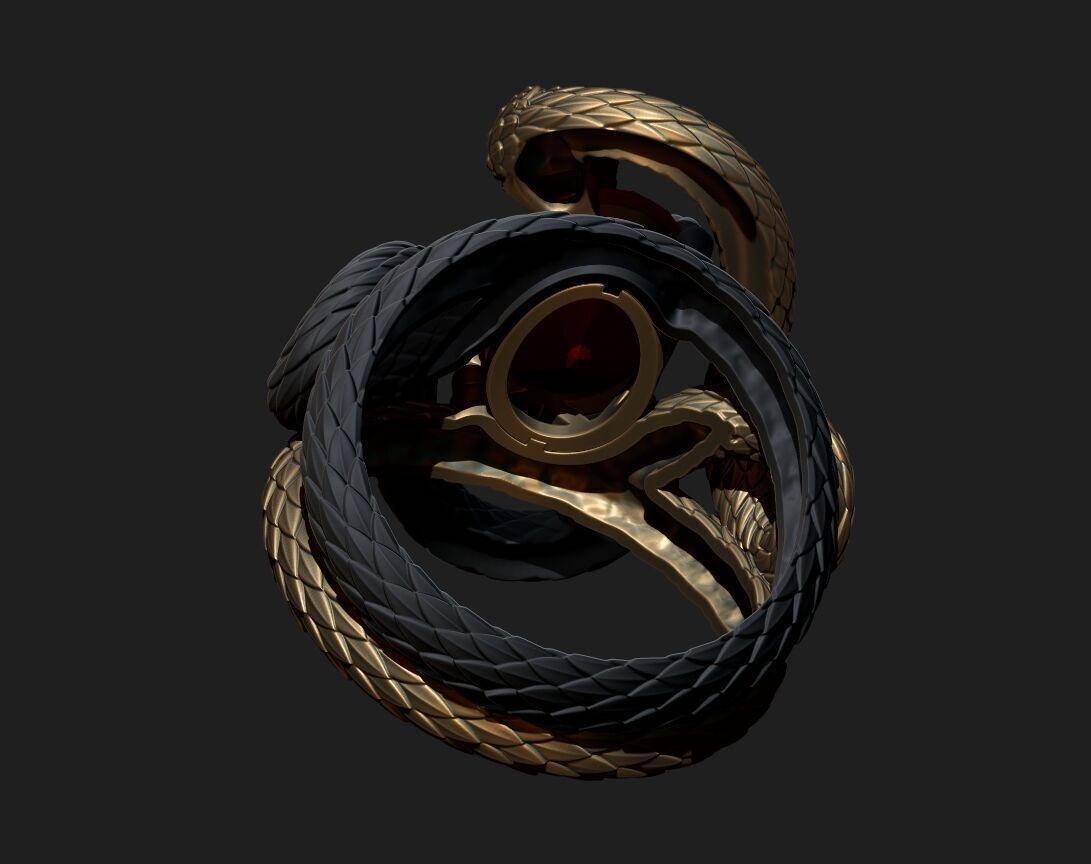 A RING WITH TWO SNAKES 3D print model_13