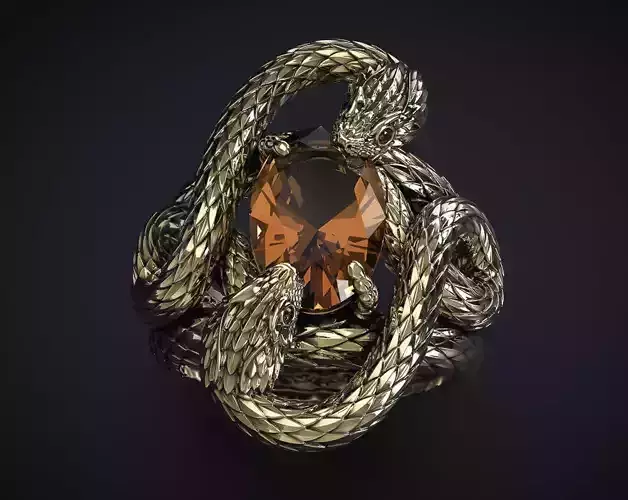 A RING WITH TWO SNAKES