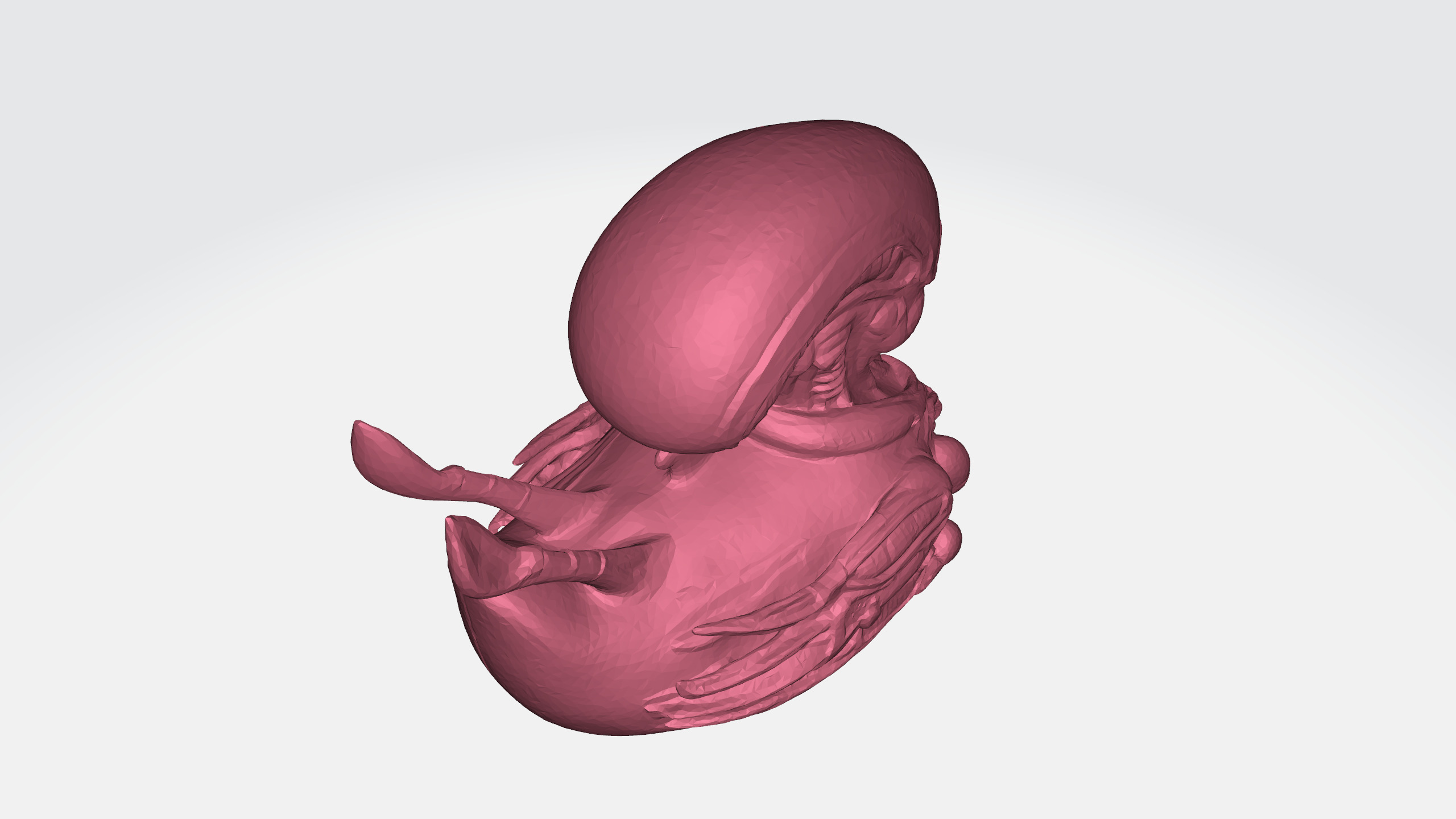 Xenomorph duck 3d model Low-poly 3D model_8