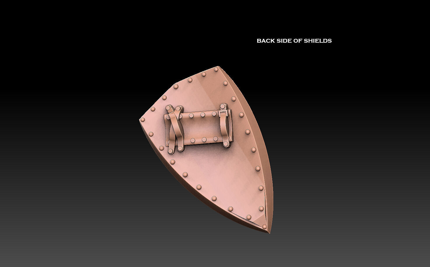 Historic Provinces of Finland Coat of Arms 3D print model_4