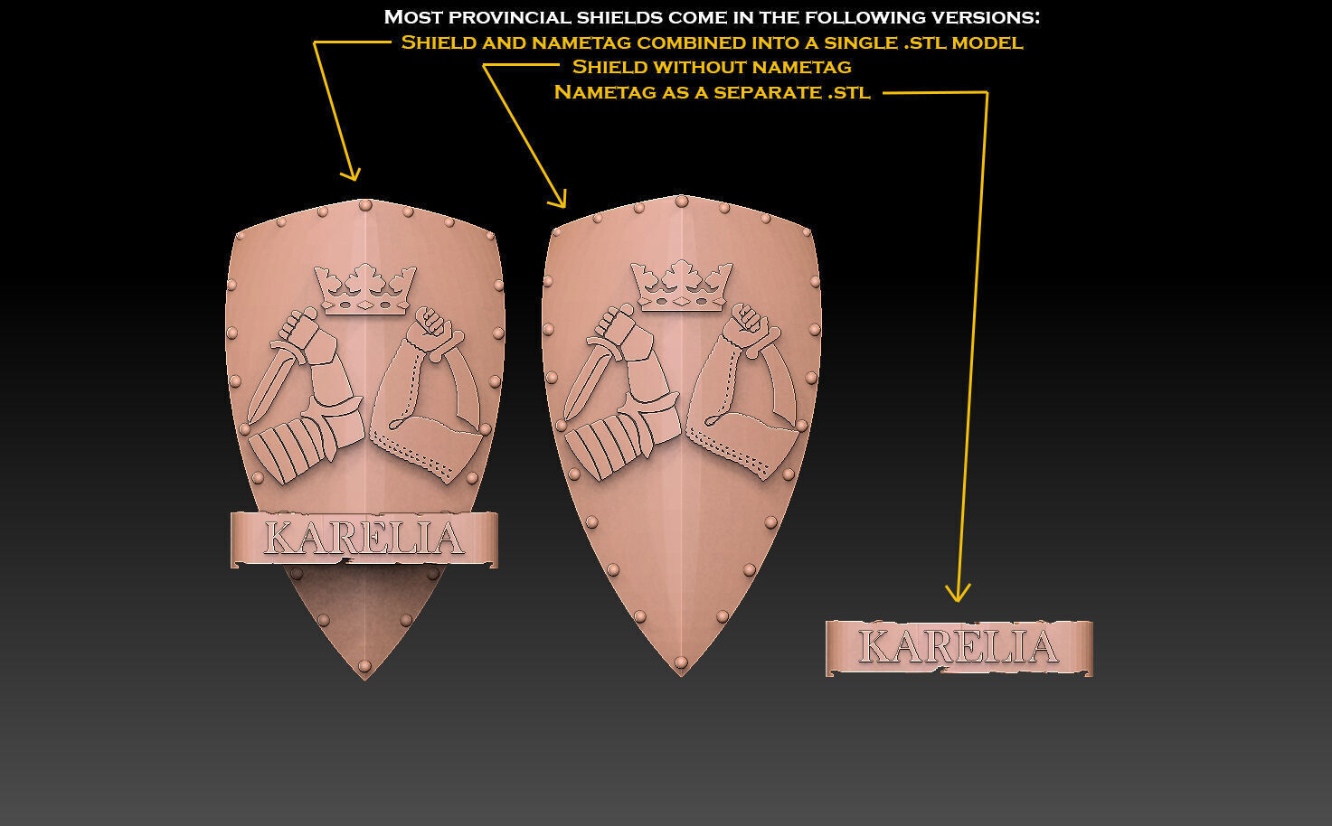 Historic Provinces of Finland Coat of Arms 3D print model_3