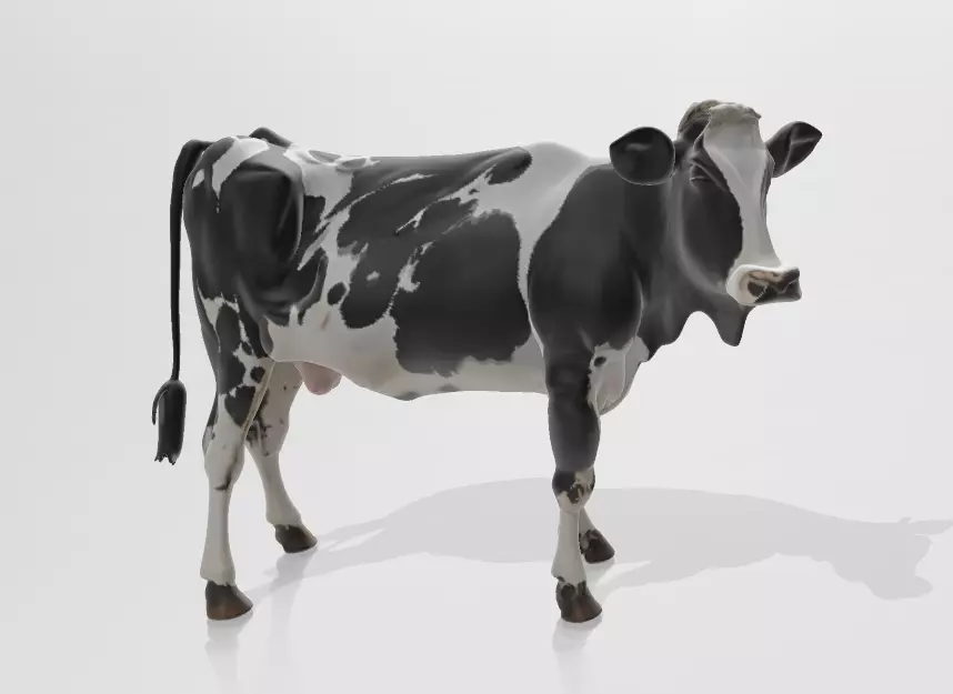 White Black Cow 3D Printable Model STL OBJ 3D print model_0
