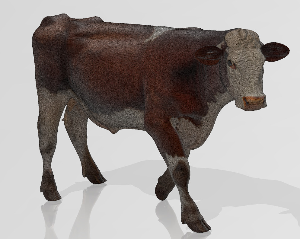 White and Brown Cow 3D Printable Model STL OBJ 3D print model_2