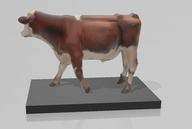 White and Brown Cow 3D Printable Model STL OBJ 3D print model_1
