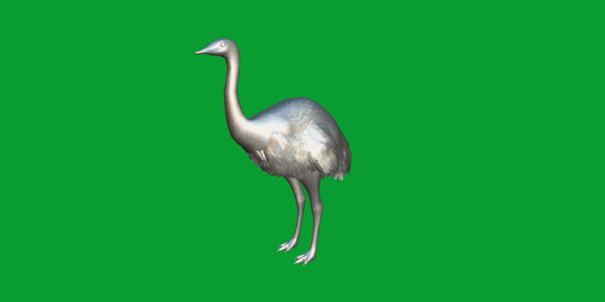 Rheas American Ostrich Low-poly 3D model_11