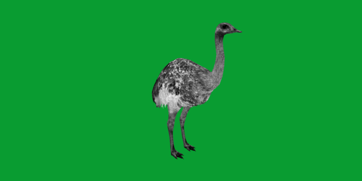 Rheas American Ostrich Low-poly 3D model_9