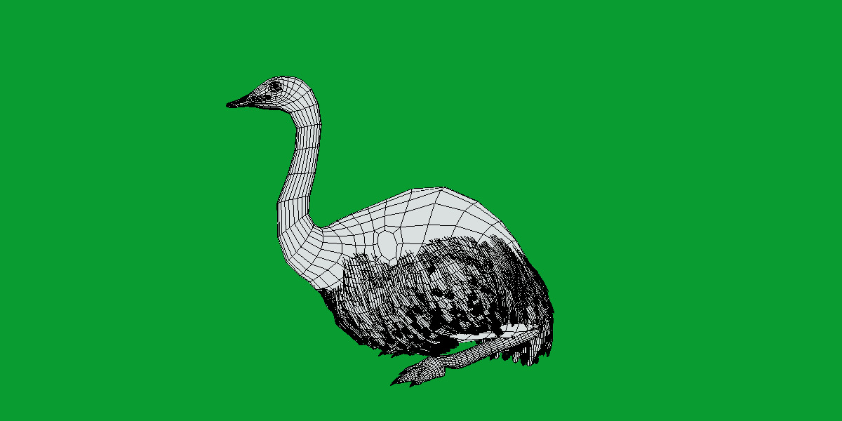 Rheas American Ostrich Low-poly 3D model_14