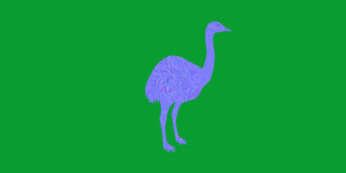 Rheas American Ostrich Low-poly 3D model_7
