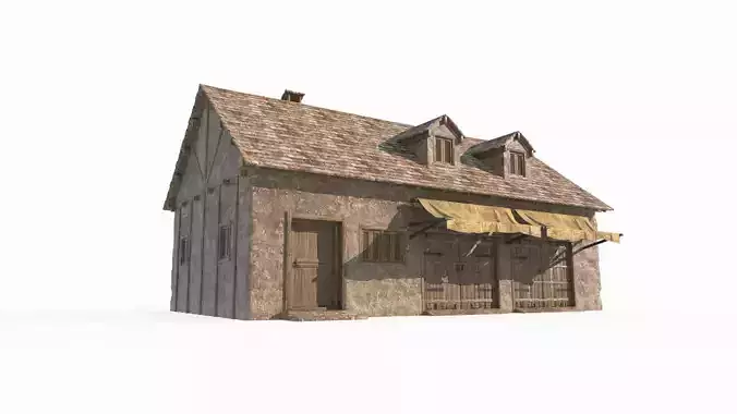 Medieval architectural houses