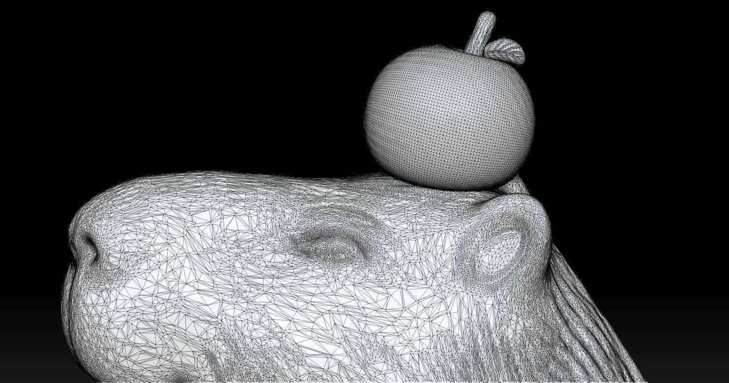 Capybara  3D print model_1