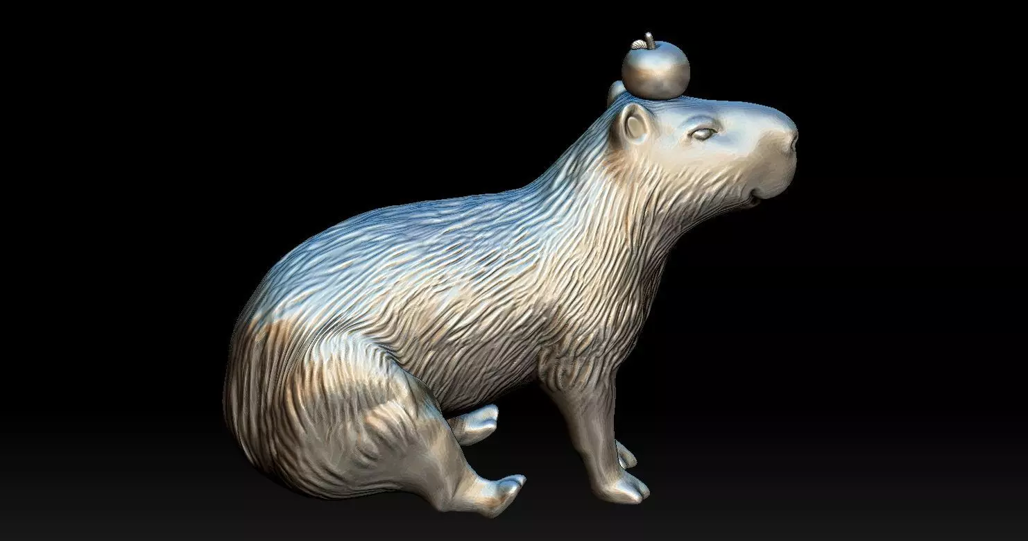 Capybara  3D print model_0
