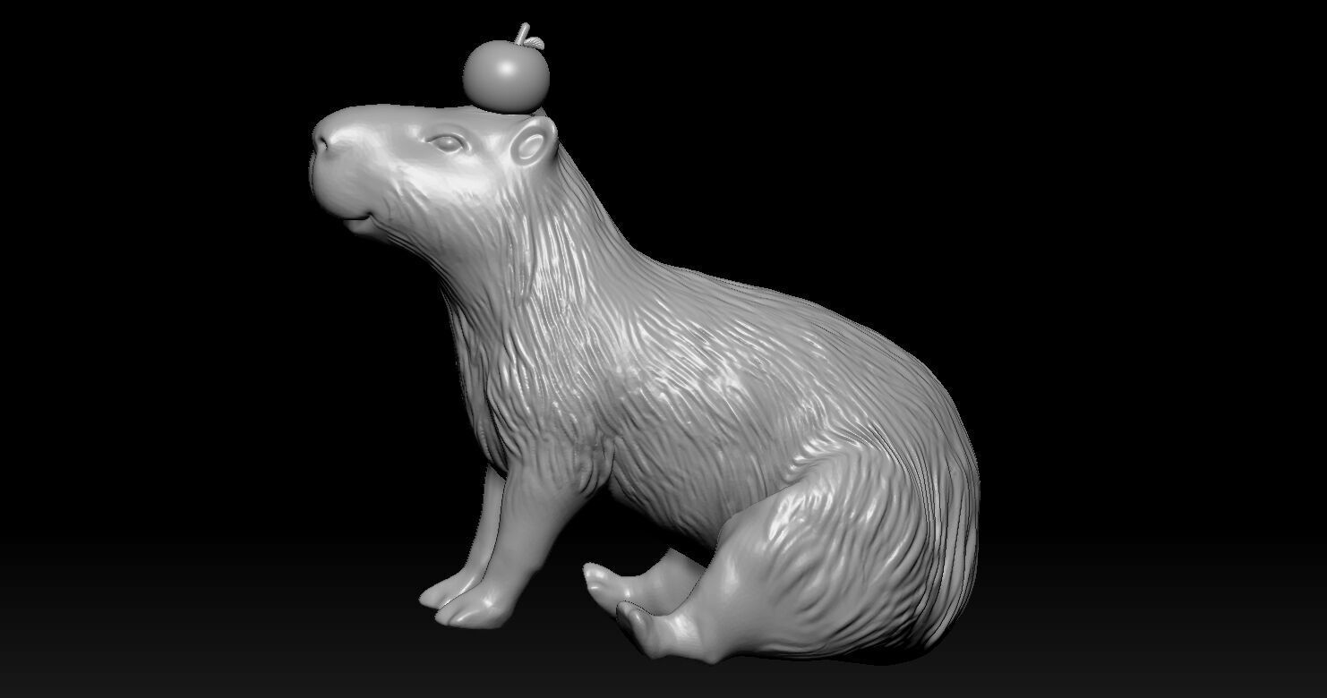 Capybara  3D print model_8