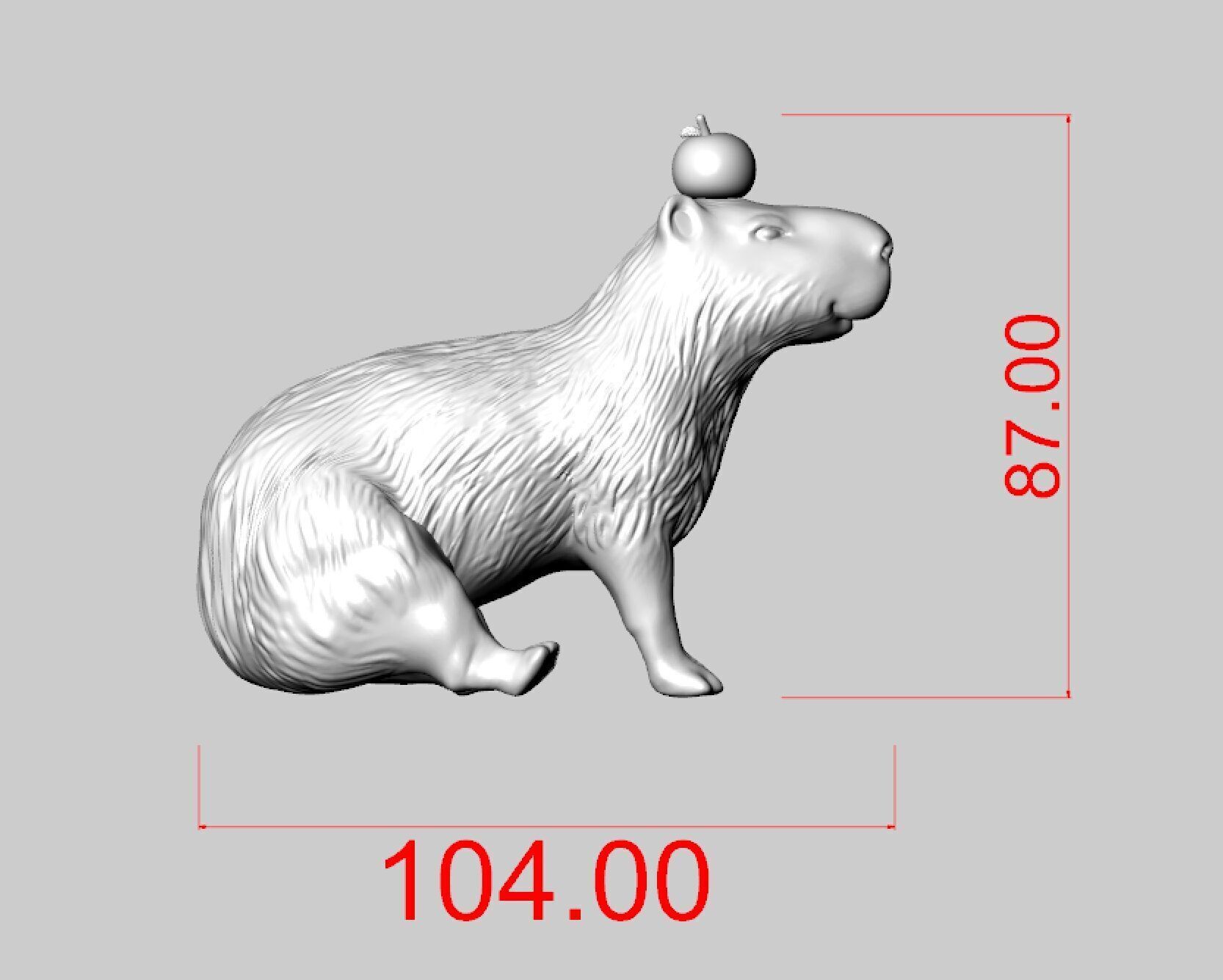 Capybara  3D print model_2