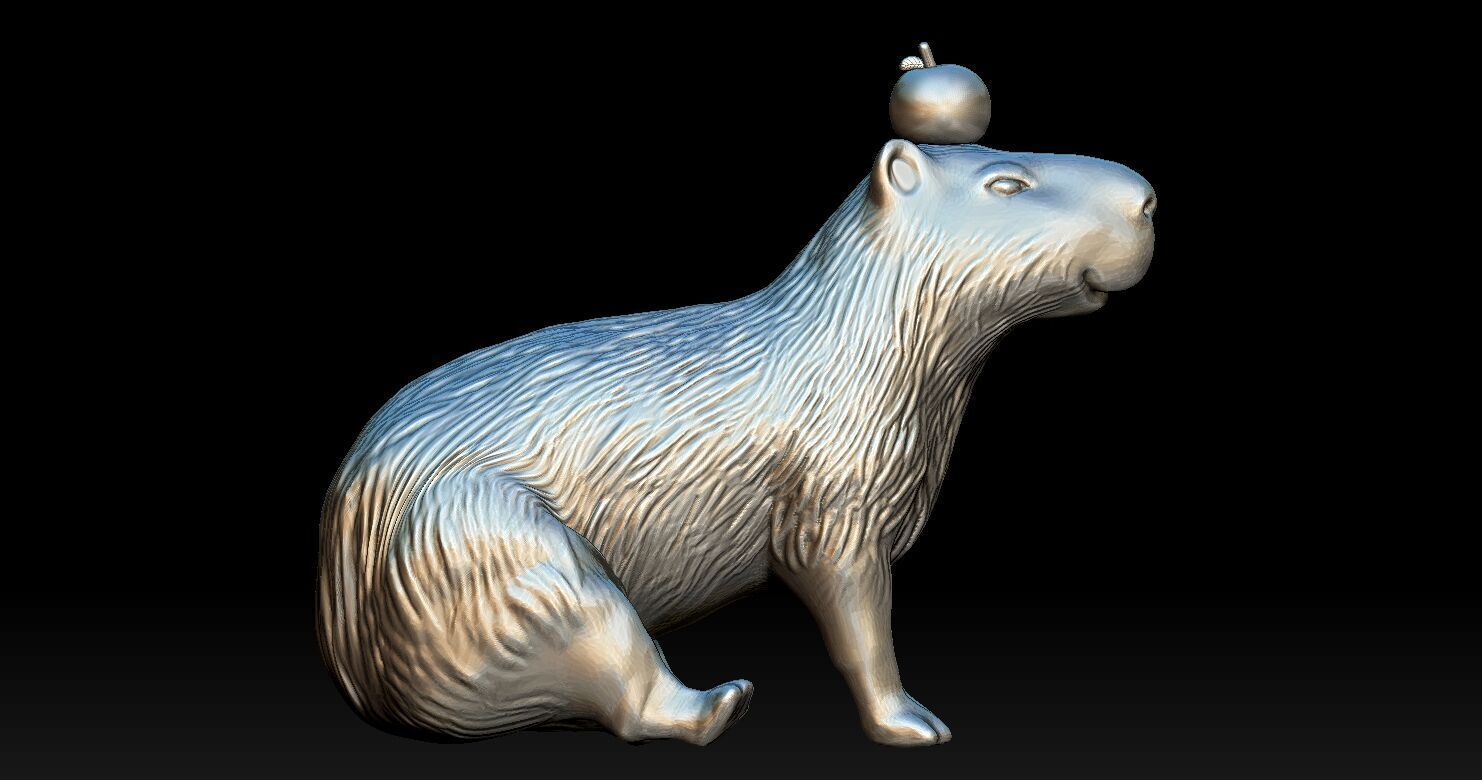 Capybara  3D print model_9