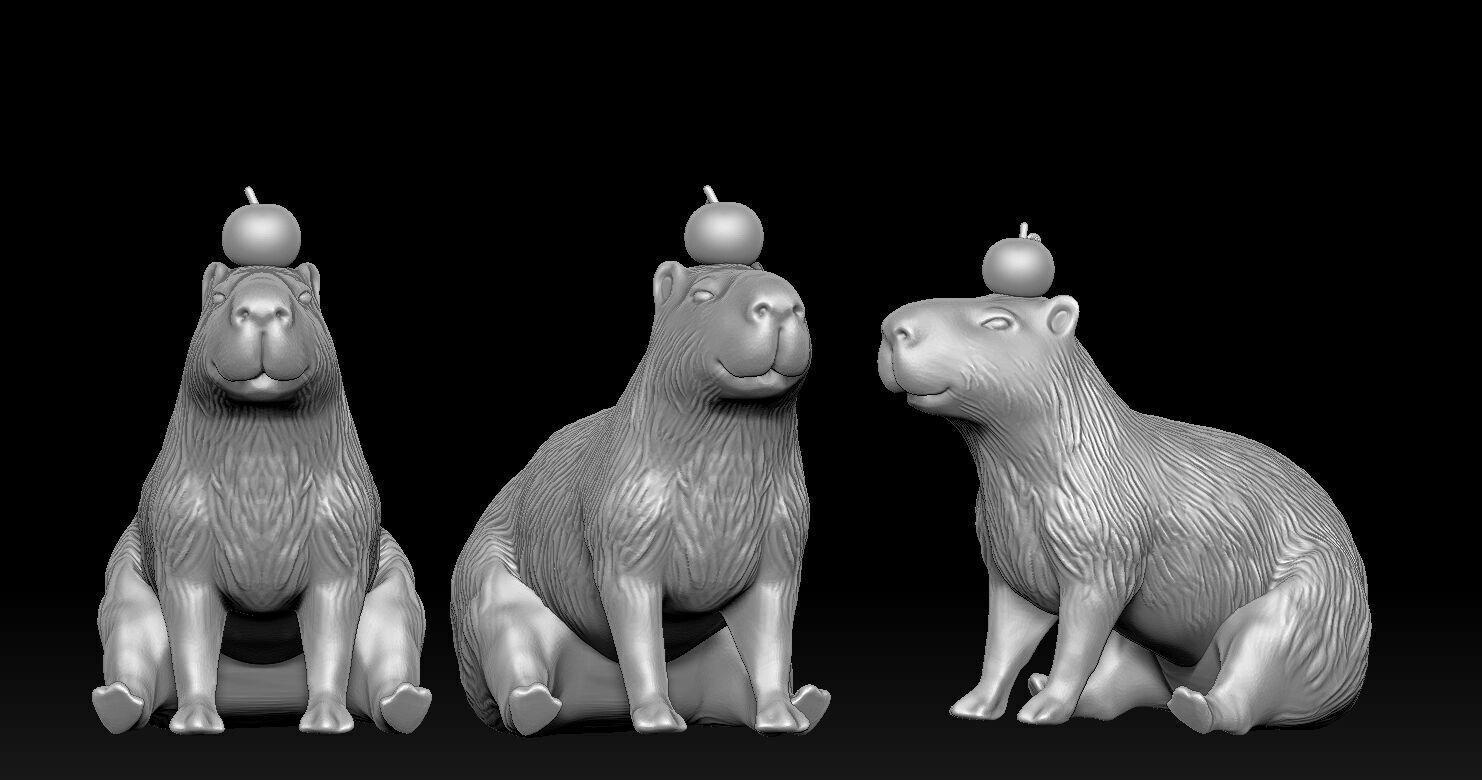 Capybara  3D print model_3