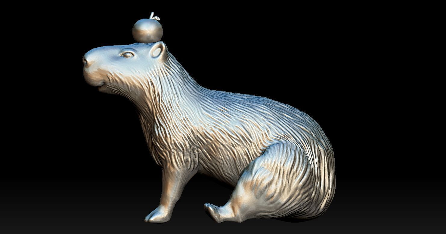 Capybara  3D print model_7