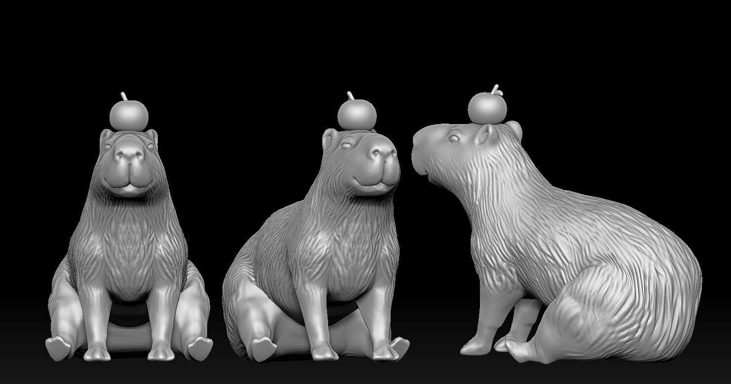Capybara  3D print model_12