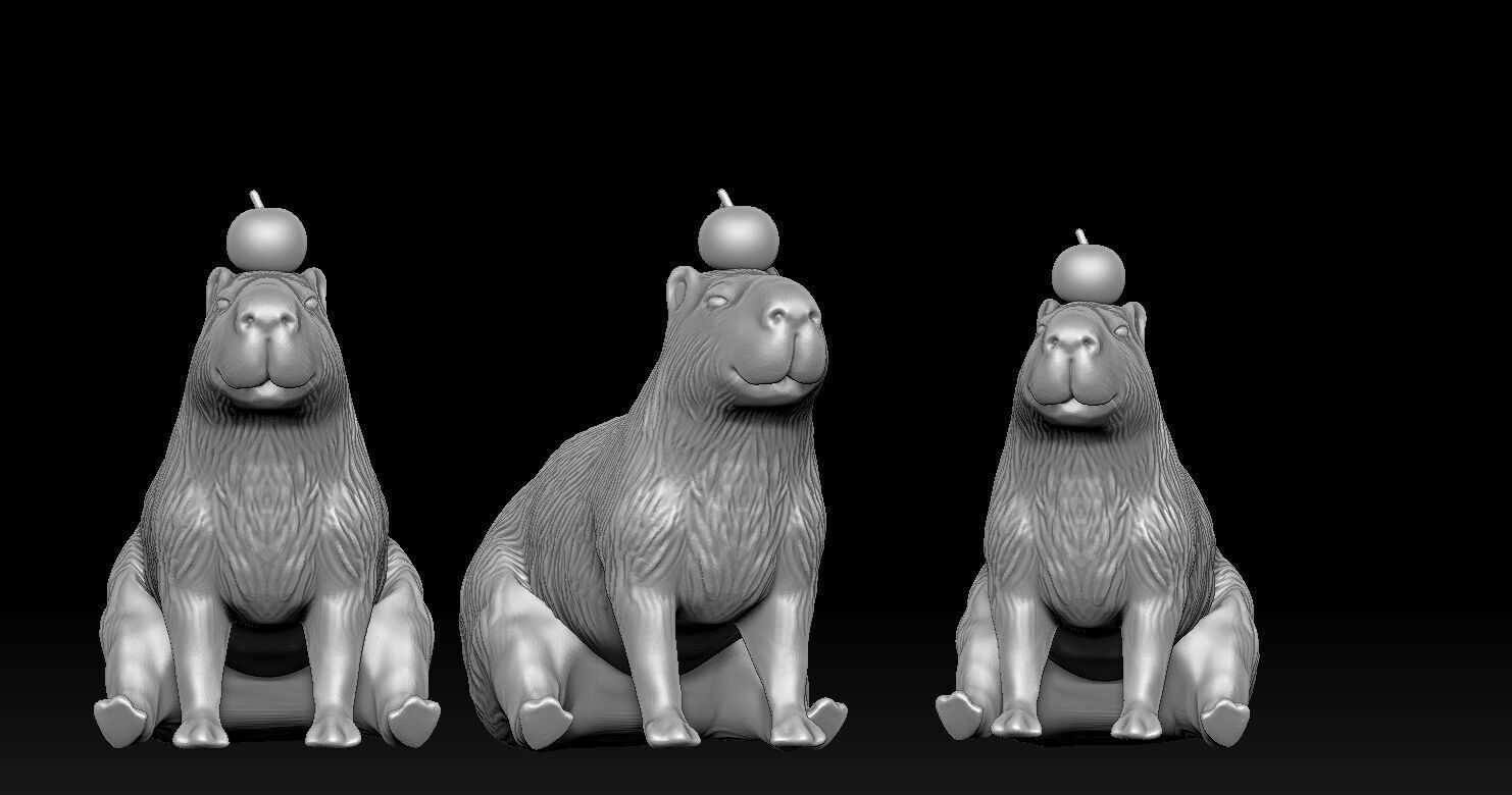 Capybara  3D print model_13