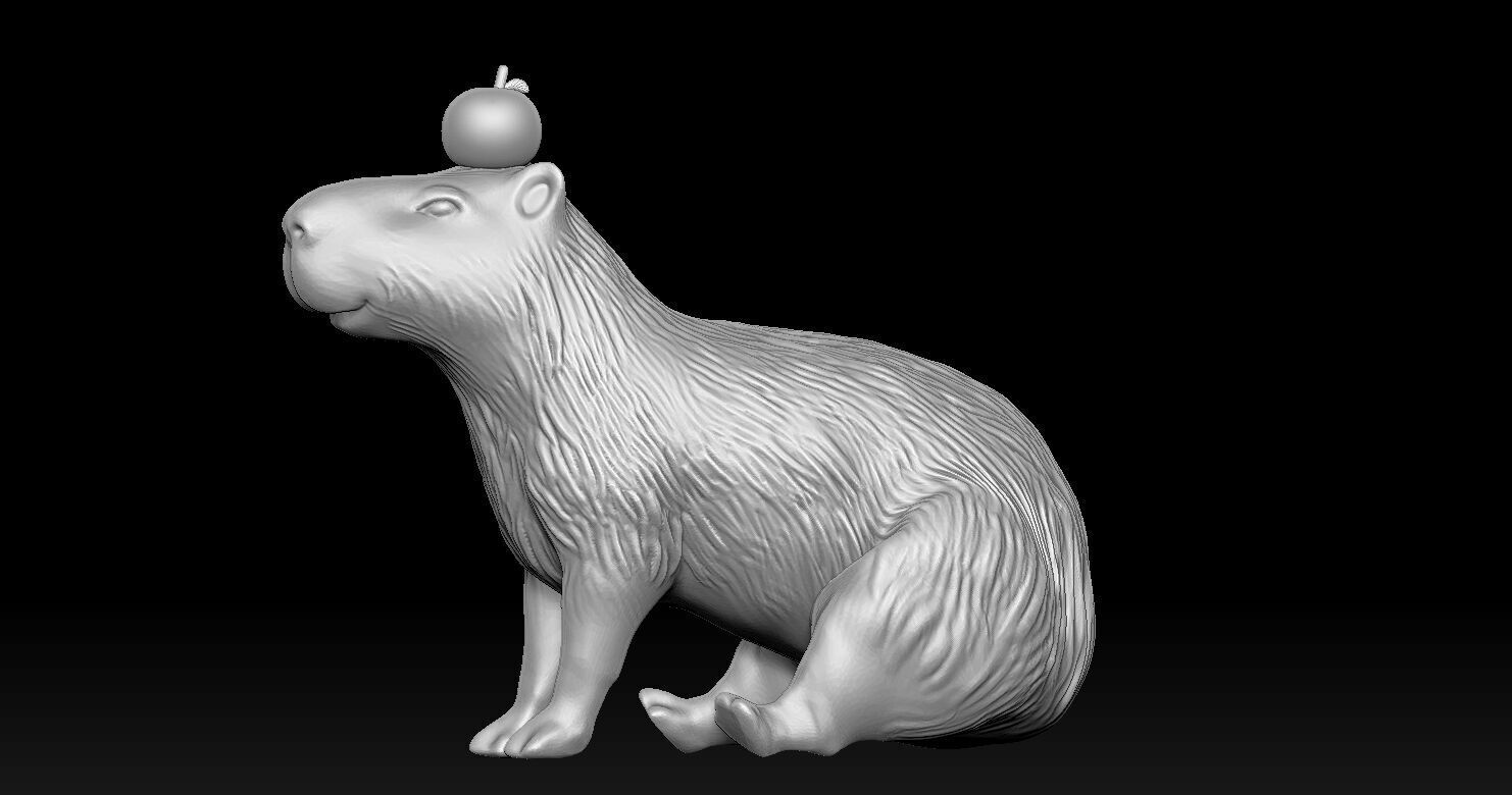 Capybara  3D print model_11
