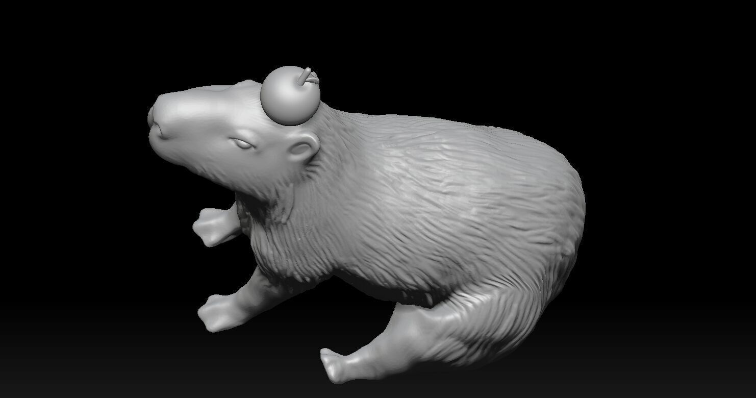 Capybara  3D print model_6