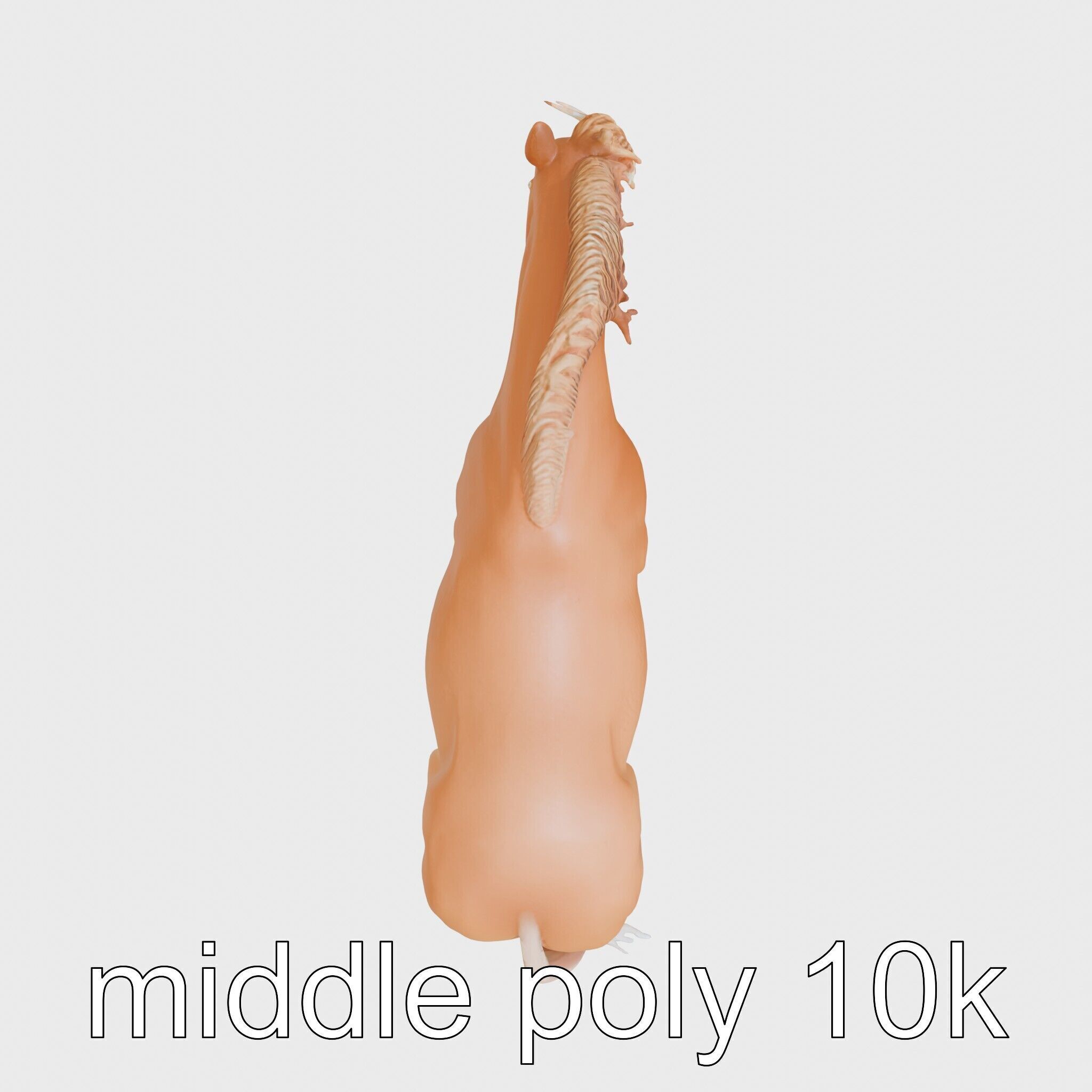 Chestnut Quarter Horse 3D Model with Energetic Pose Low-poly 3D model_19