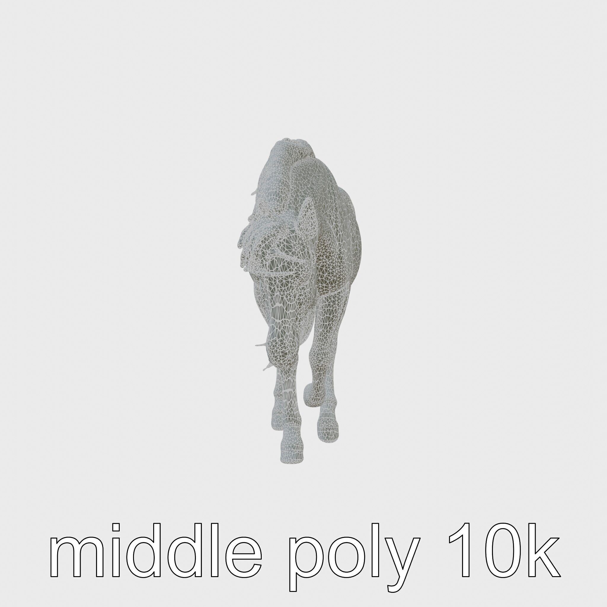 Chestnut Quarter Horse 3D Model with Energetic Pose Low-poly 3D model_5