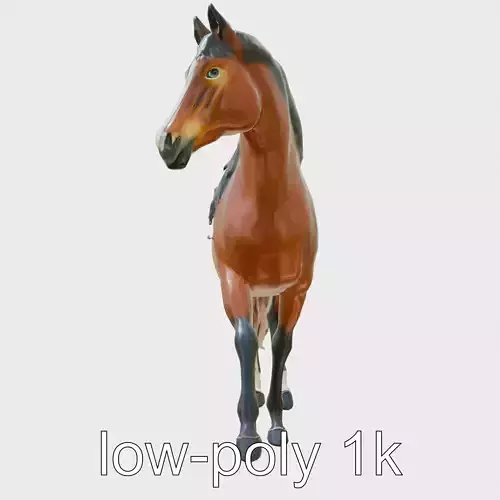 Bay Arabian Horse with Brown Coat and Black Mane