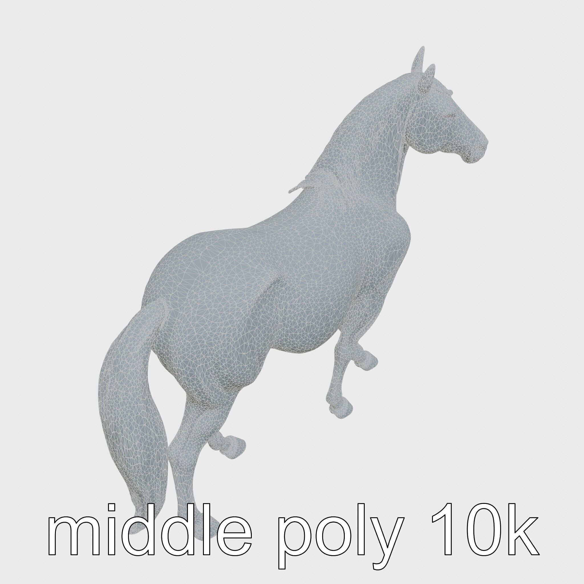 Andalusian Horse with Arched Neck and Proud Stance 3D Model Low-poly 3D model_11