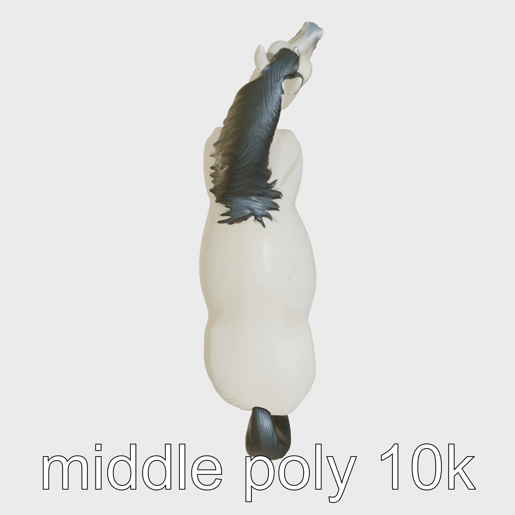 Andalusian Horse with Arched Neck and Proud Stance 3D Model Low-poly 3D model_14