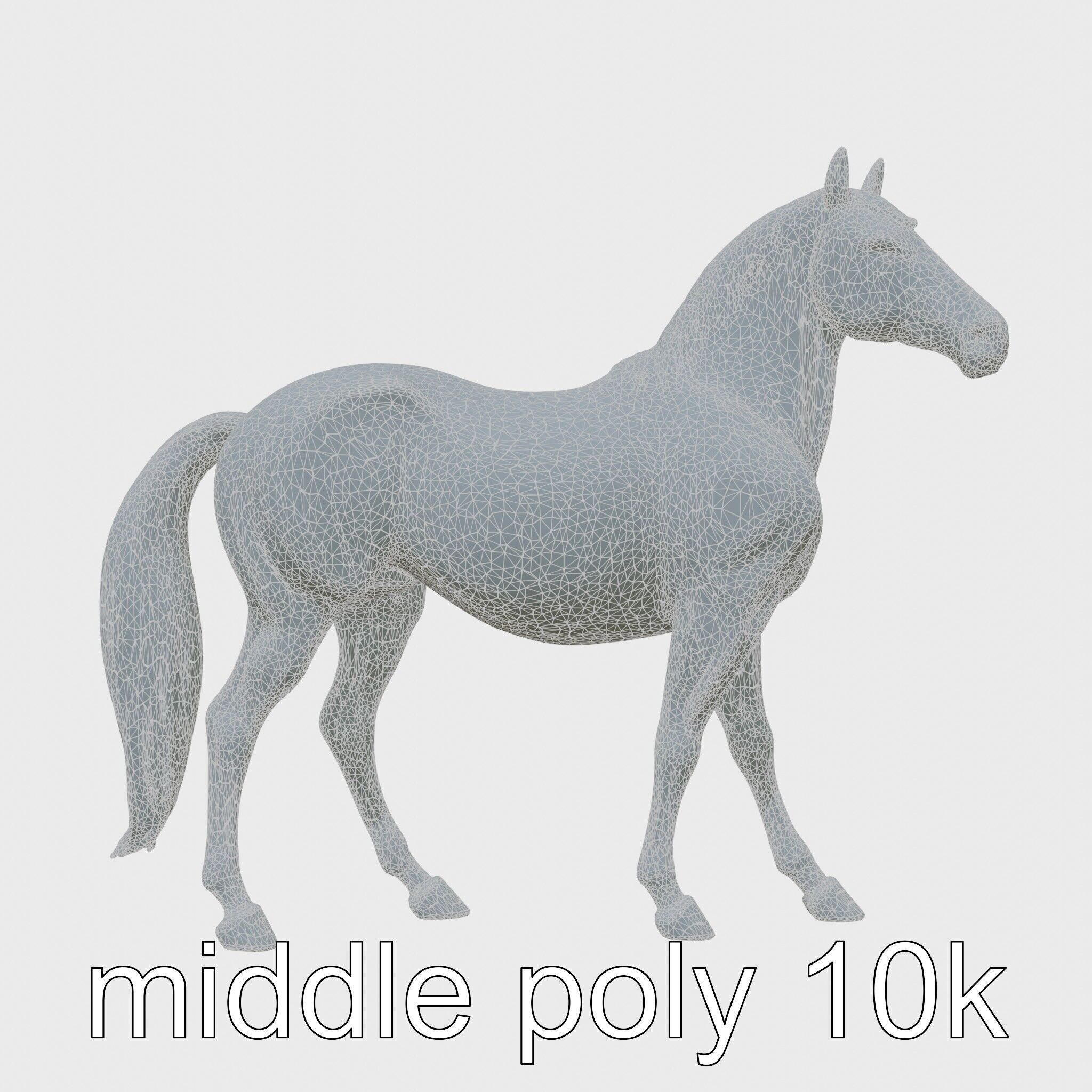 Andalusian Horse with Arched Neck and Proud Stance 3D Model Low-poly 3D model_28
