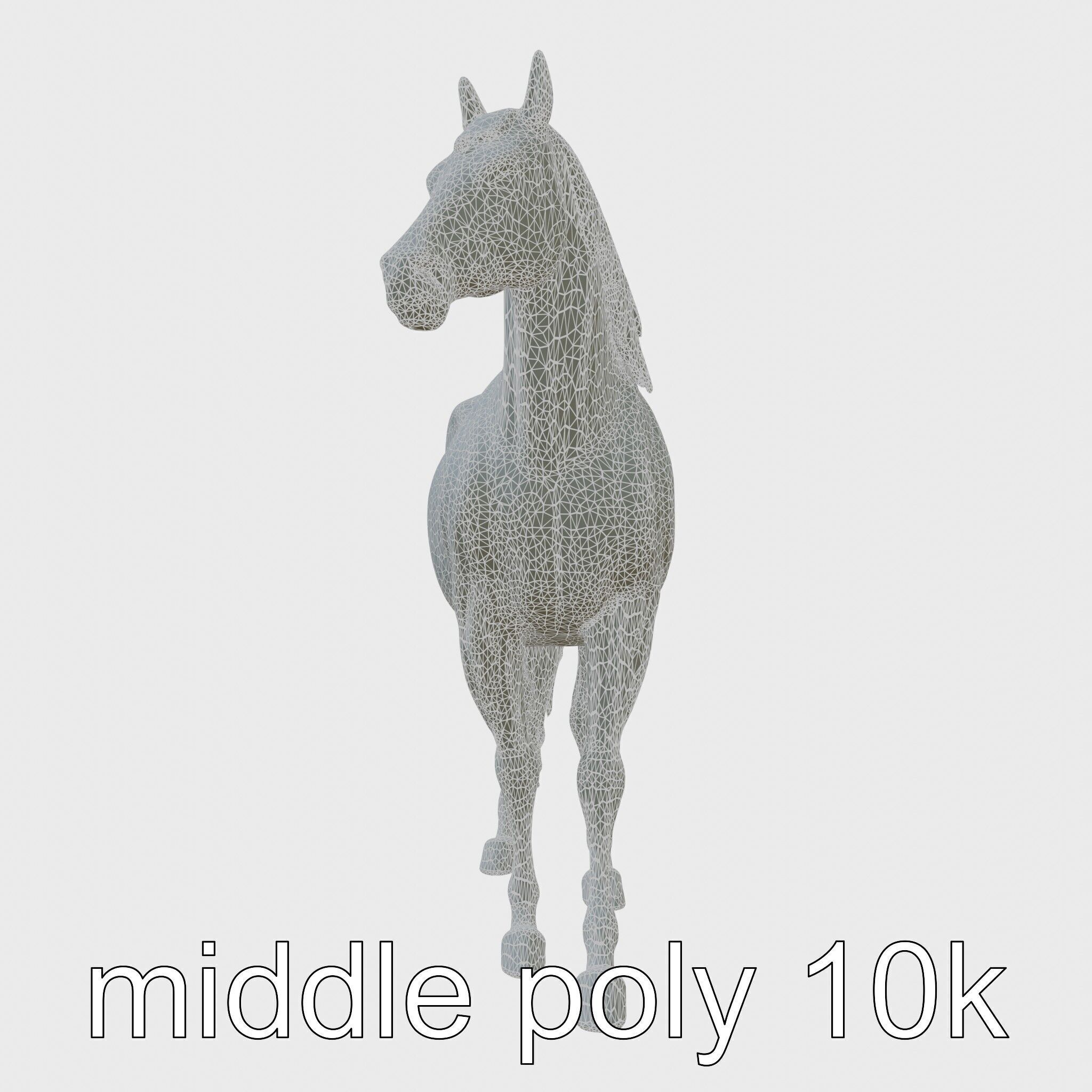 Andalusian Horse with Arched Neck and Proud Stance 3D Model Low-poly 3D model_5