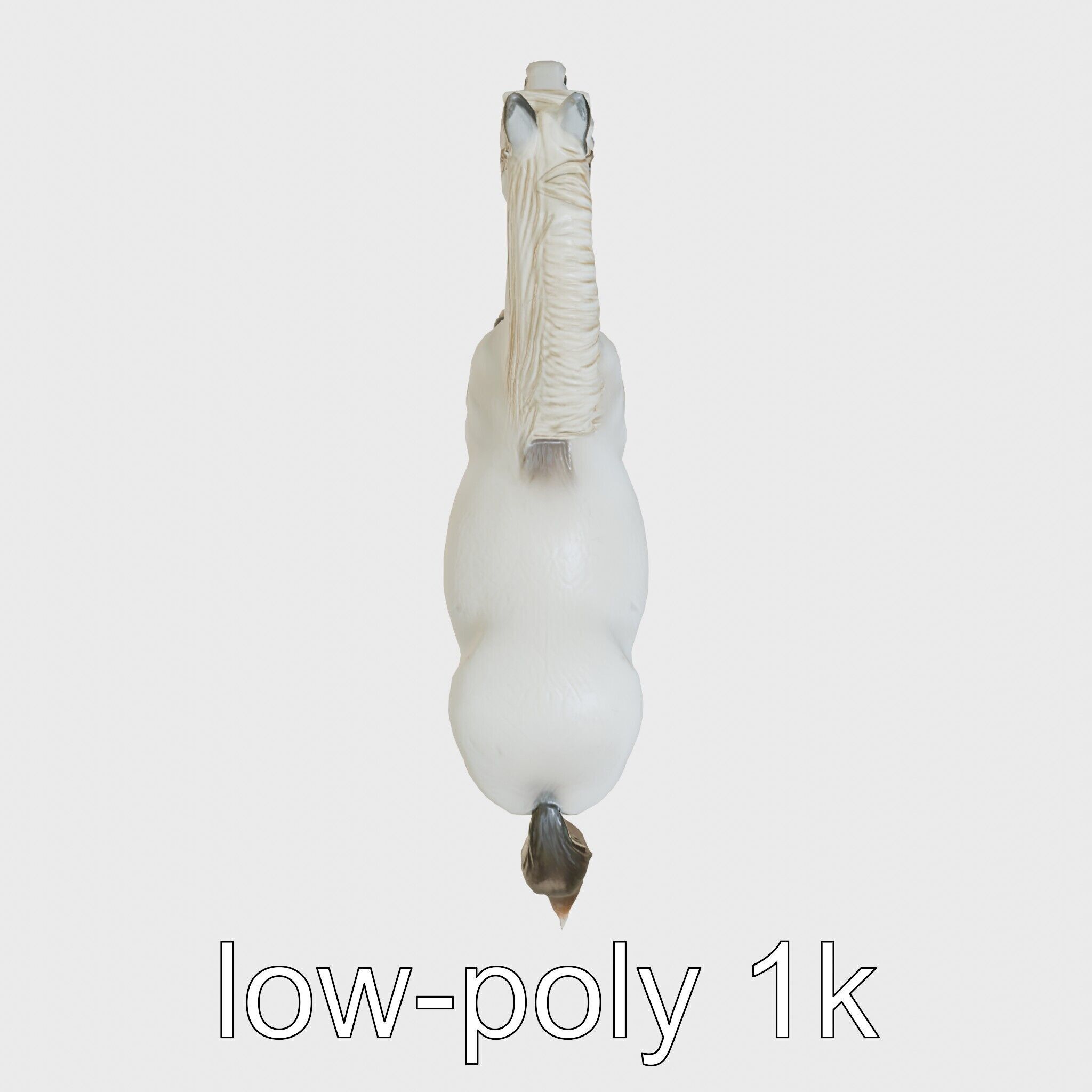 Percheron Horse Elegant Movement Model Low-poly 3D model_40