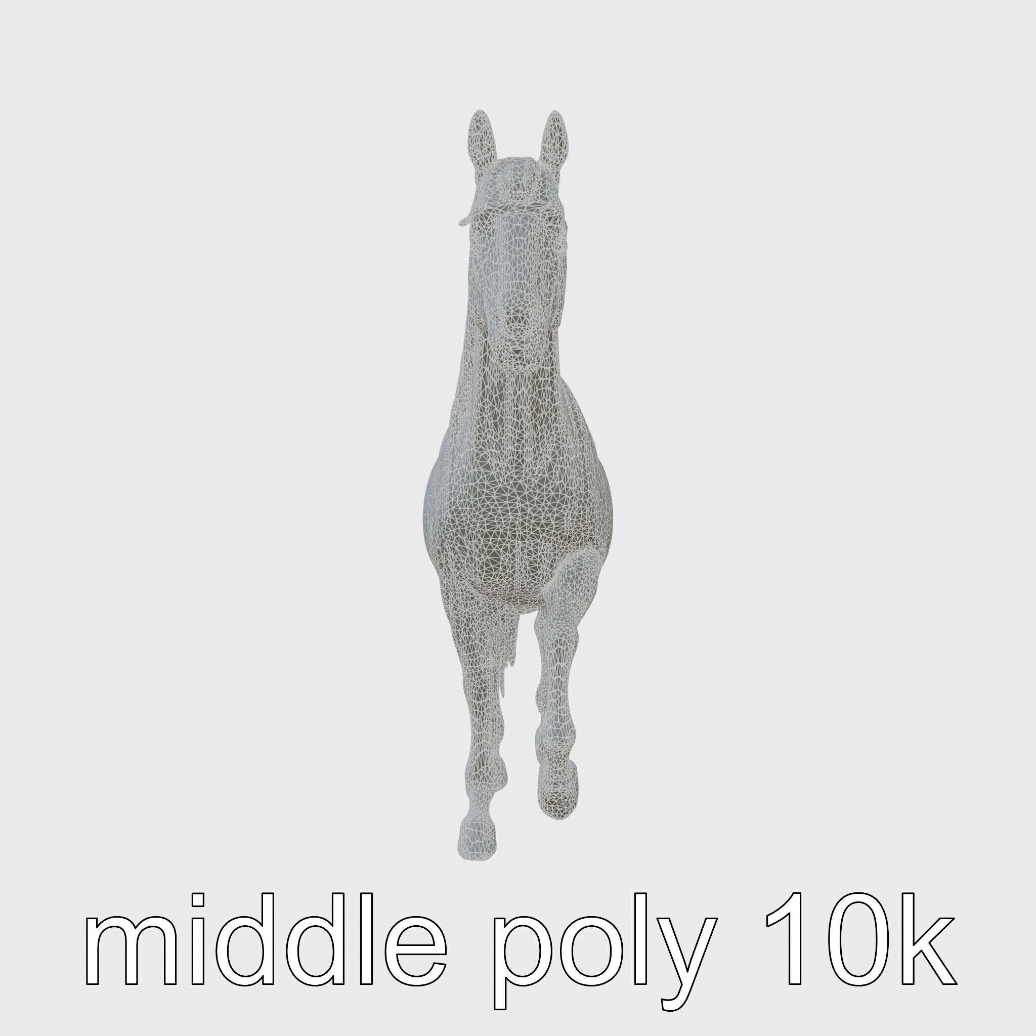 Percheron Horse Elegant Movement Model Low-poly 3D model_36