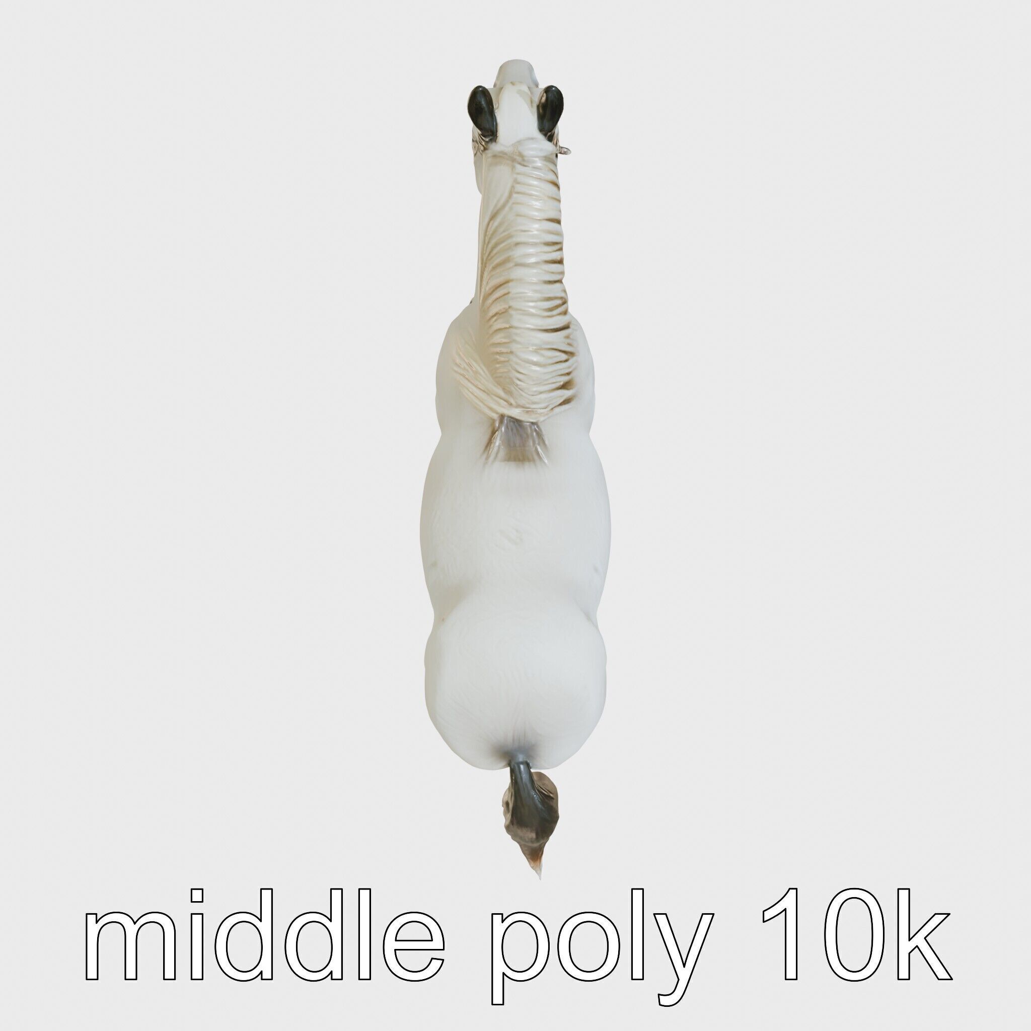 Percheron Horse Elegant Movement Model Low-poly 3D model_50