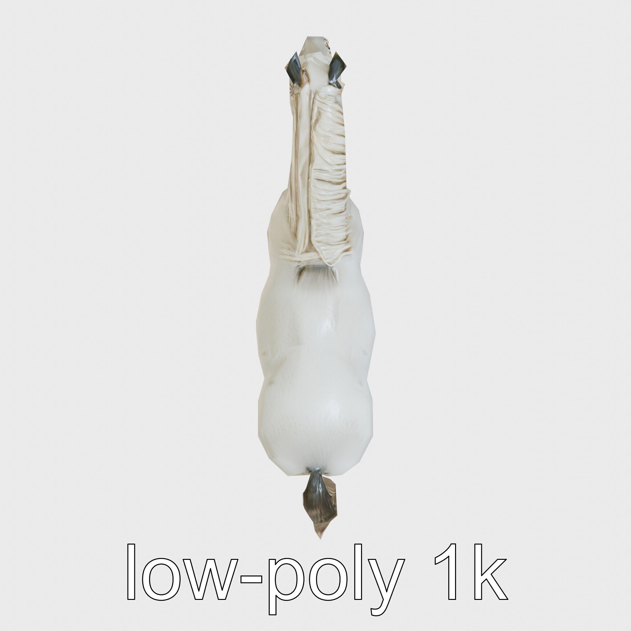 Percheron Horse Elegant Movement Model Low-poly 3D model_59