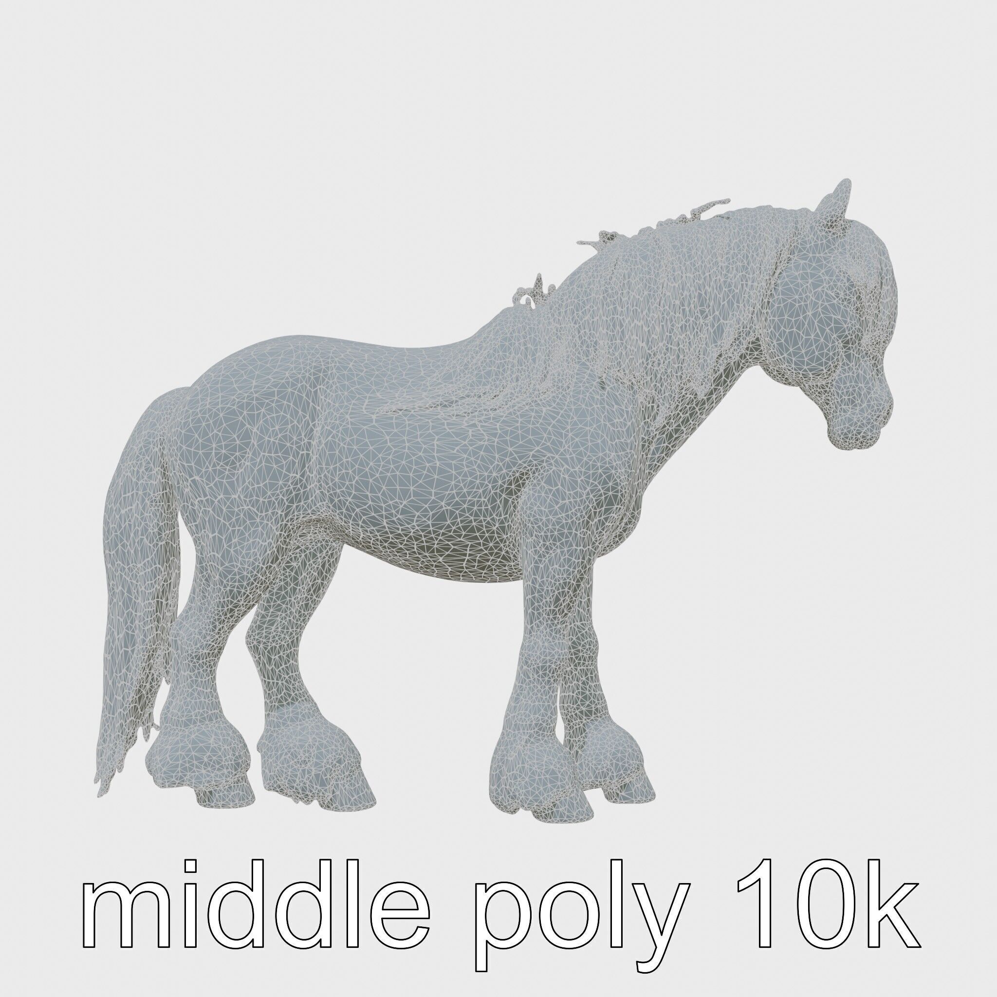 Black Clydesdale Horse 3D Model with Dark Coat Low-poly 3D model_5
