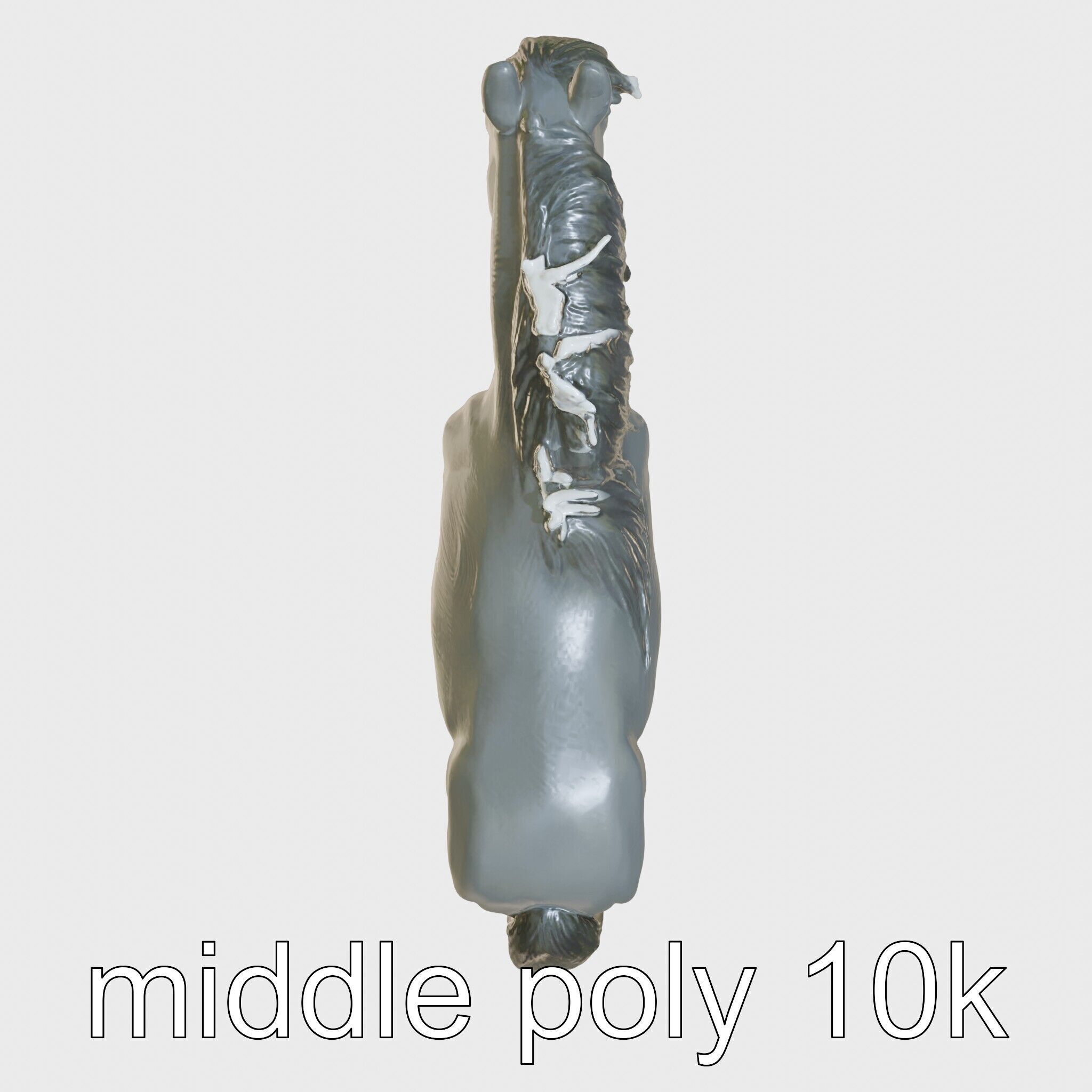 Black Clydesdale Horse 3D Model with Dark Coat Low-poly 3D model_8