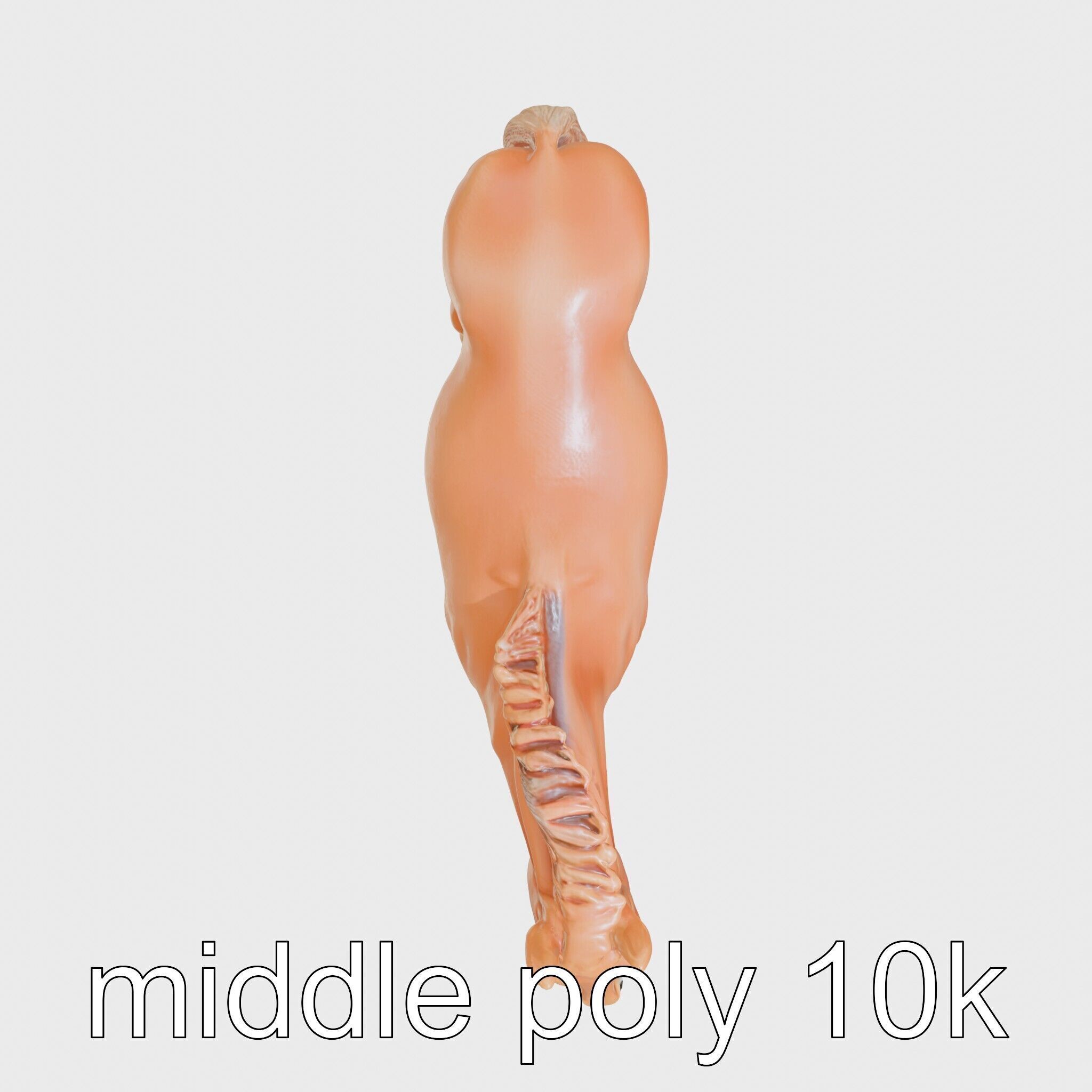Chestnut Warmblood Horse with Energetic Performance Low-poly 3D model_13