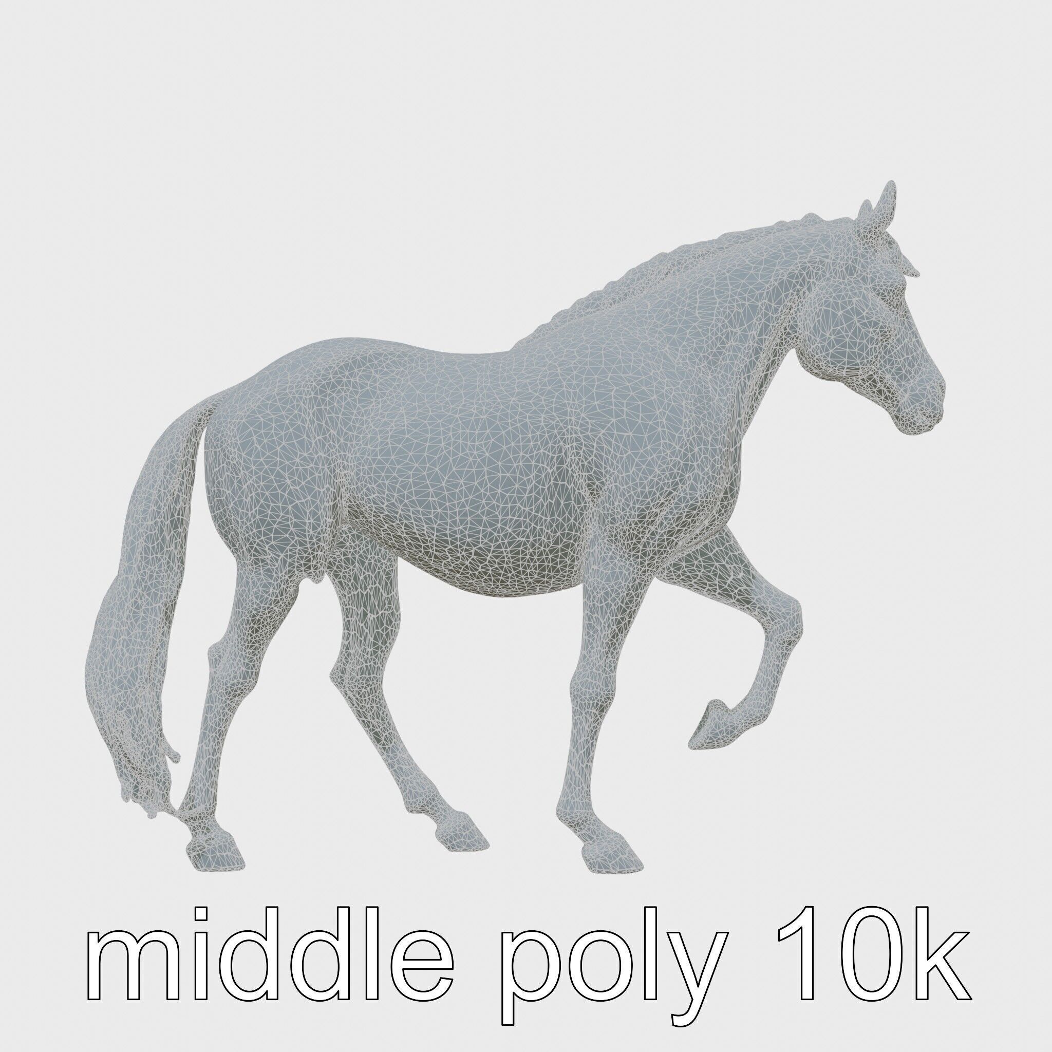Chestnut Morgan Horse 3D Model with Rich Color Low-poly 3D model_28