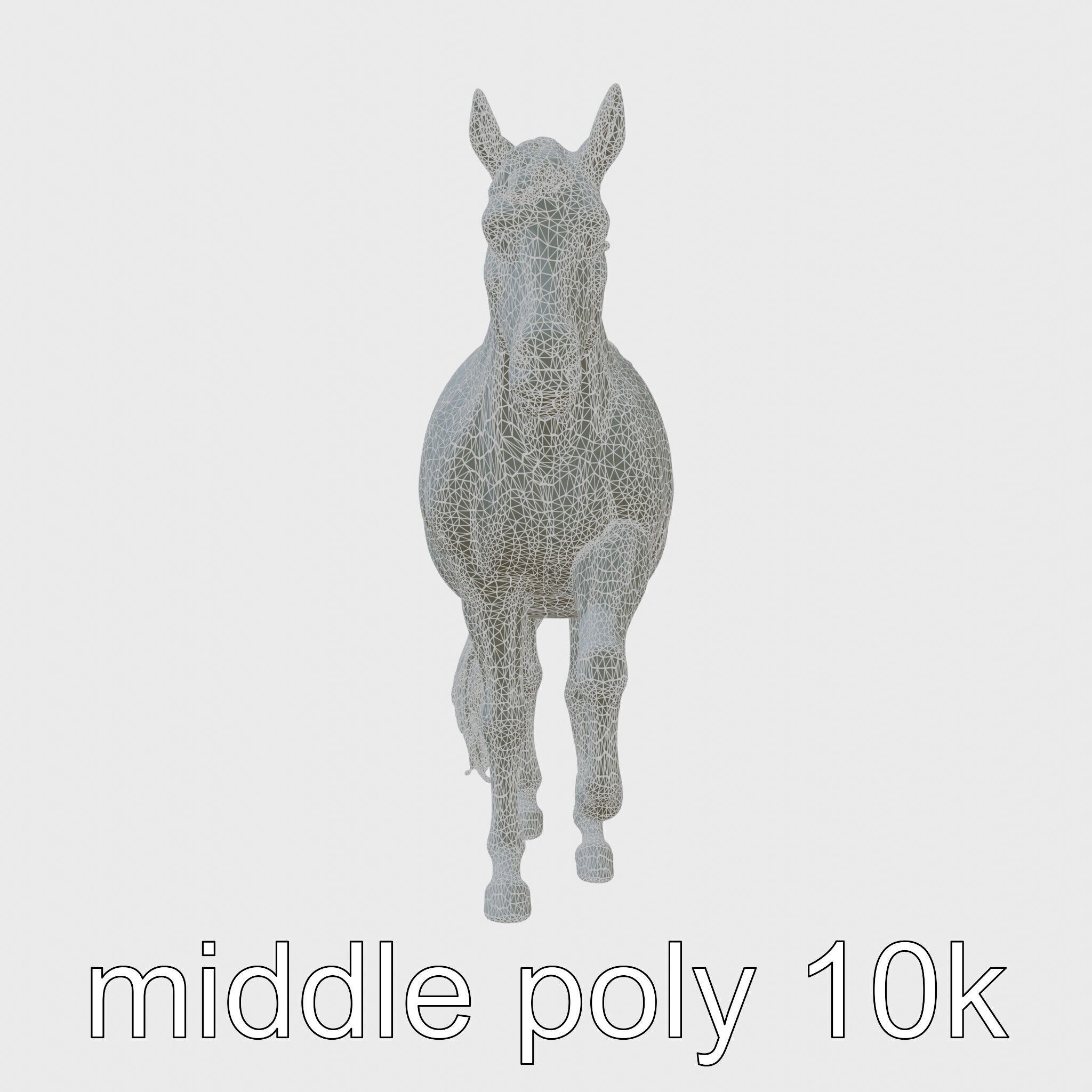 Chestnut Morgan Horse 3D Model with Rich Color Low-poly 3D model_5