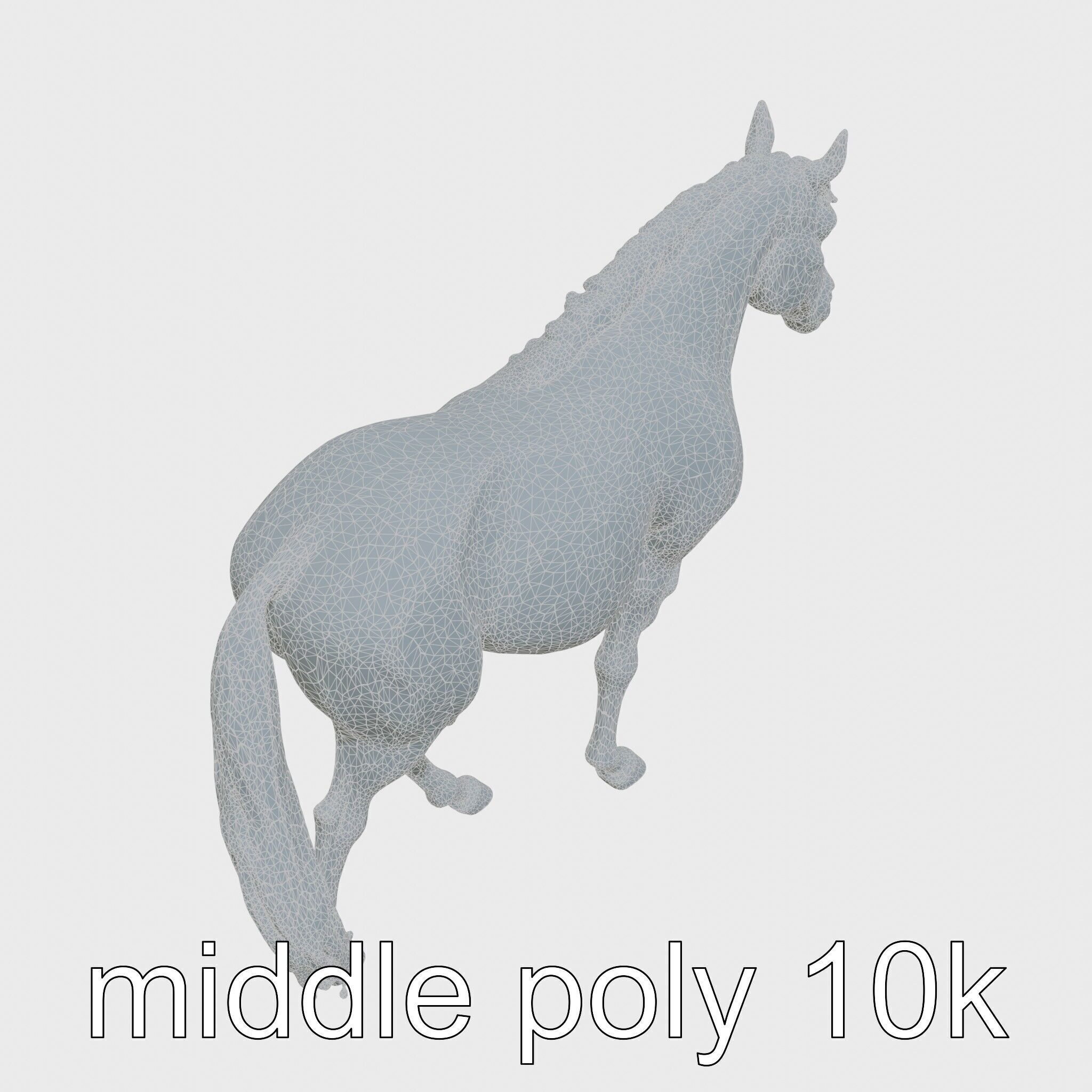 Chestnut Morgan Horse 3D Model with Rich Color Low-poly 3D model_12