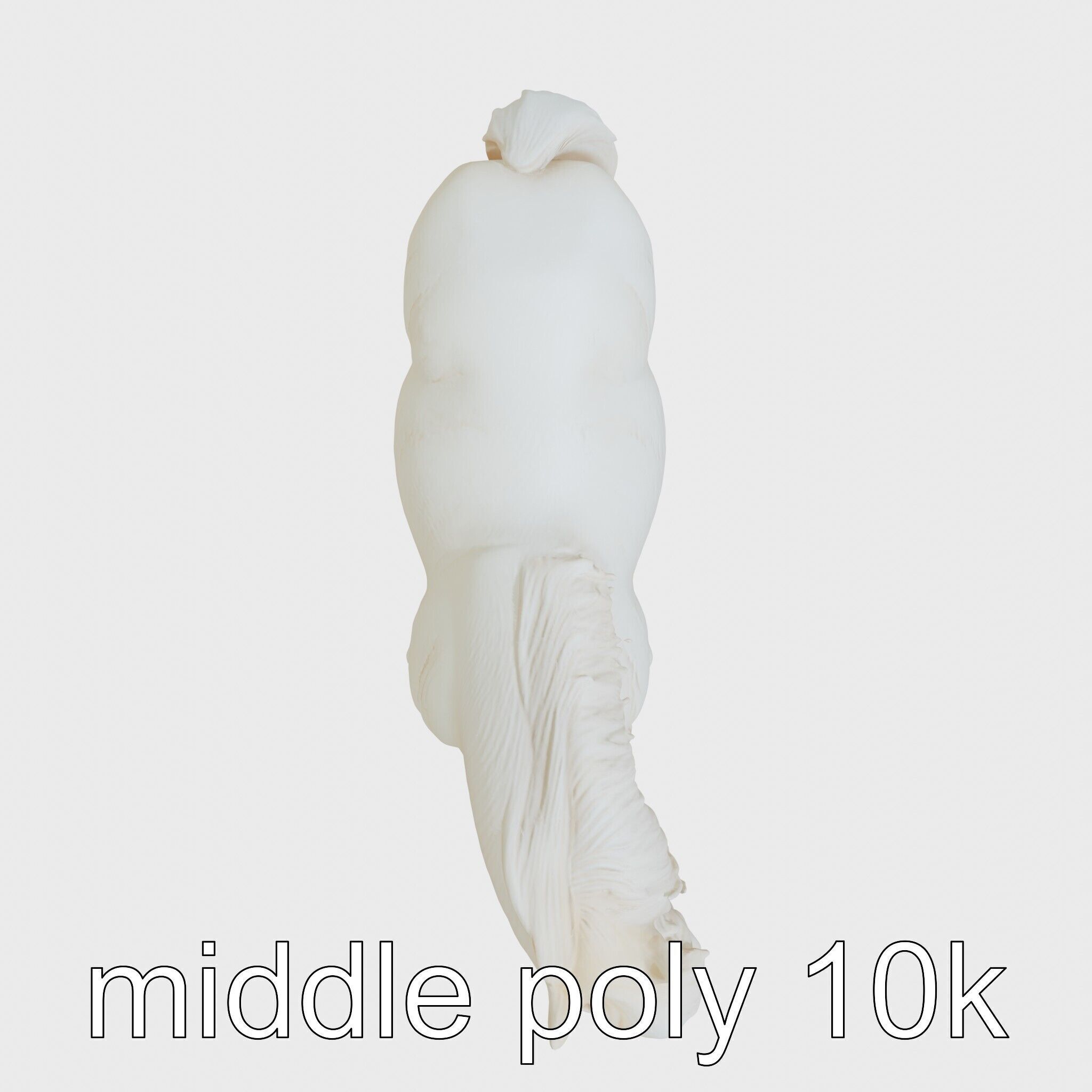 Friesian Horse with Flowing Mane and Feathered Legs Low-poly 3D model_8